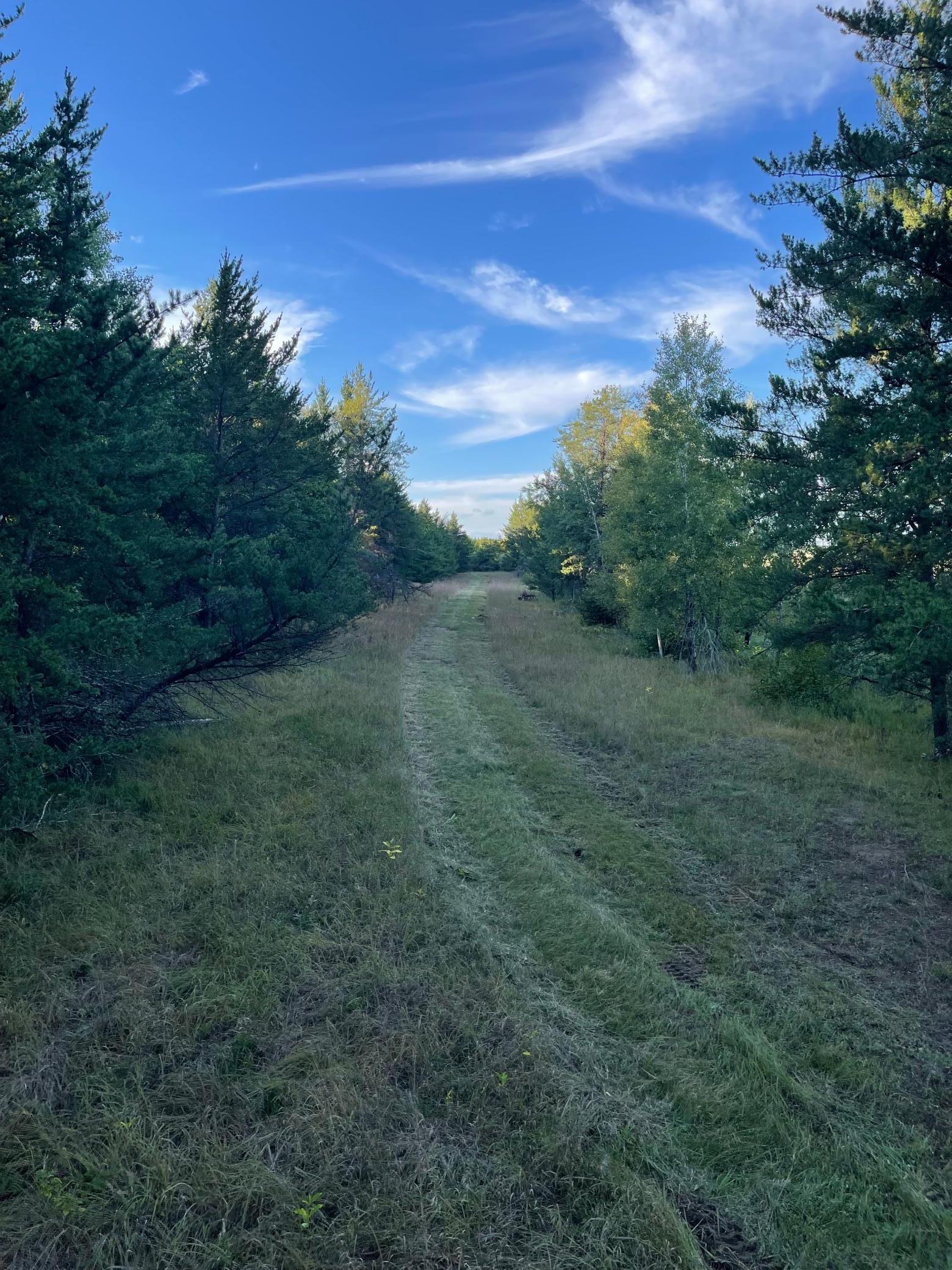 land for sale at TBD 96th Street SW in Motley, MN (photo 79 of 80)