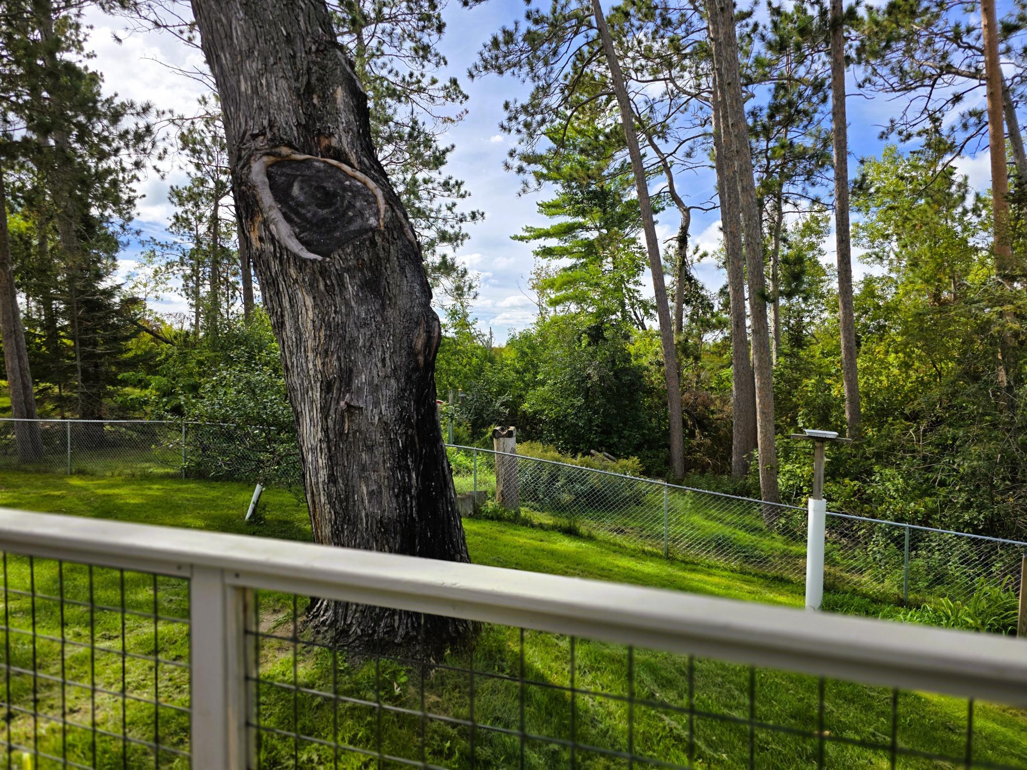 1961 single family home for sale at 4405 Birchmont Drive NE in Bemidji, MN — 5 bed, 2 bath (photo 11 of 73)