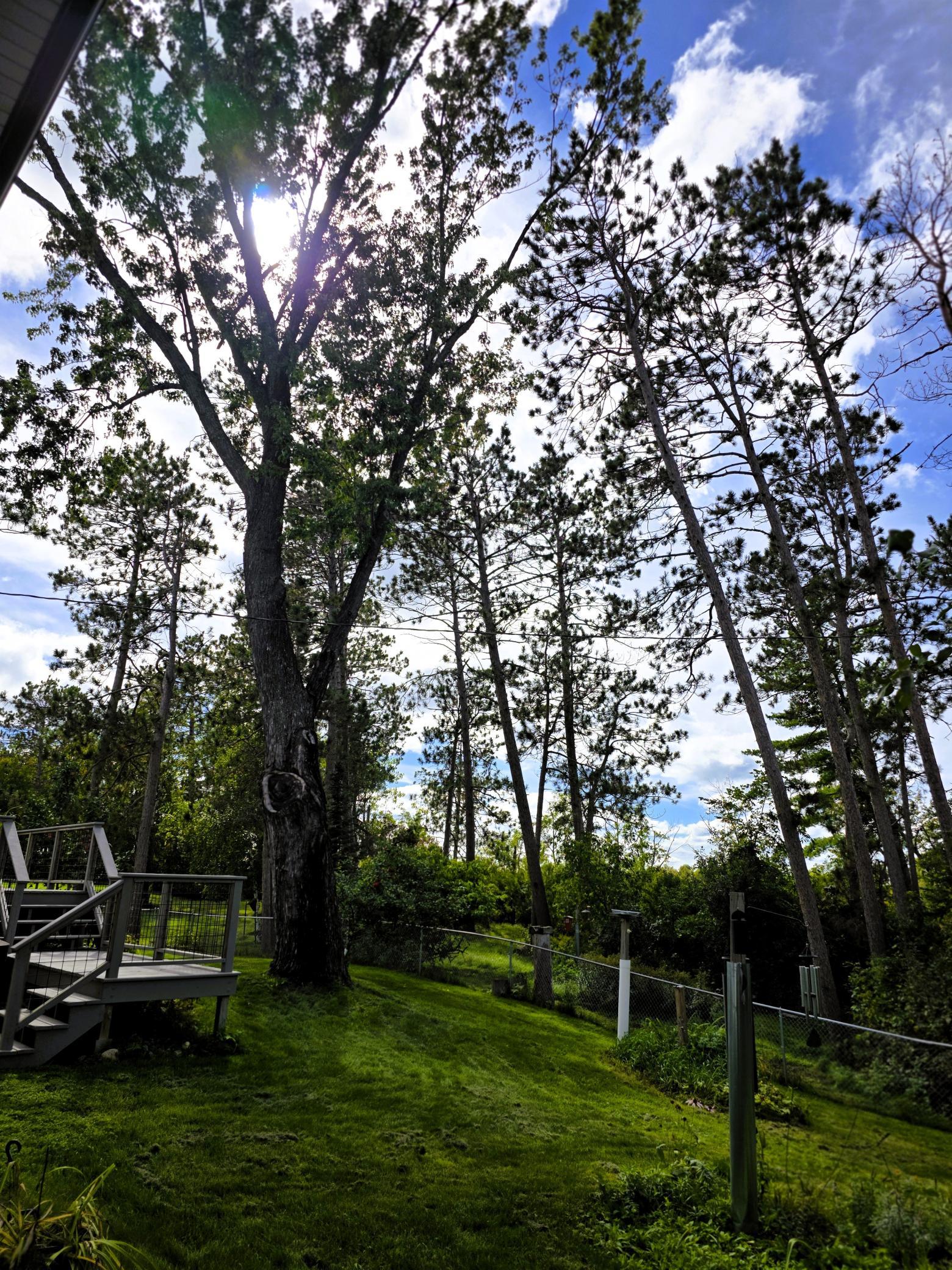 1961 single family home for sale at 4405 Birchmont Drive NE in Bemidji, MN — 5 bed, 2 bath (photo 15 of 73)