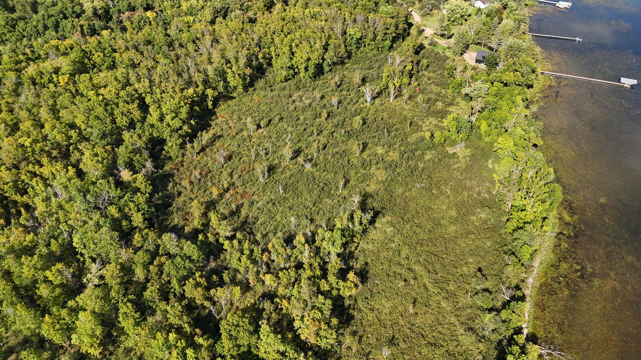 land for sale at XXX County Road 109 in Merrifield, MN (photo 11 of 16)