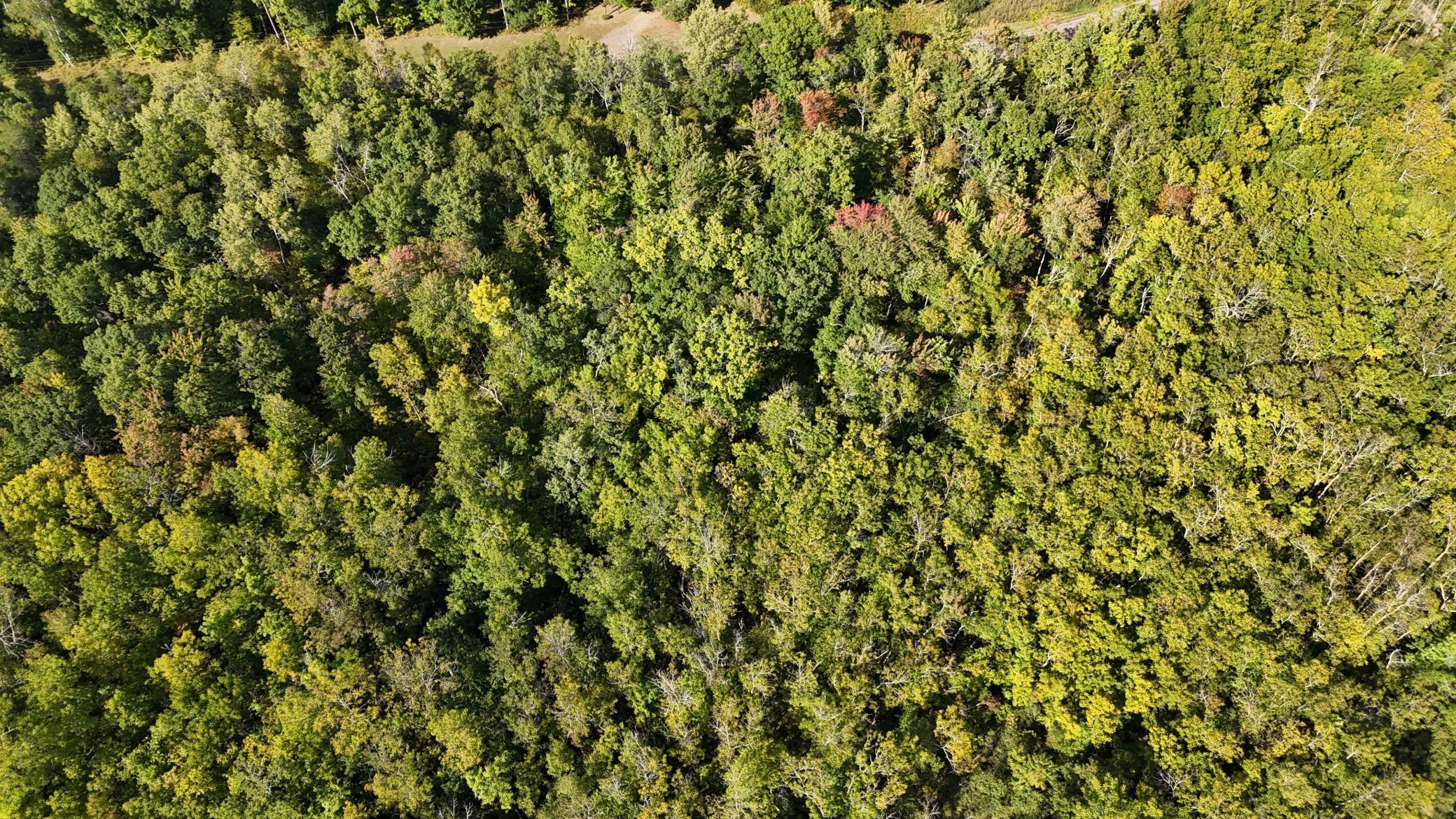 land for sale at XXX County Road 109 in Merrifield, MN (photo 15 of 16)