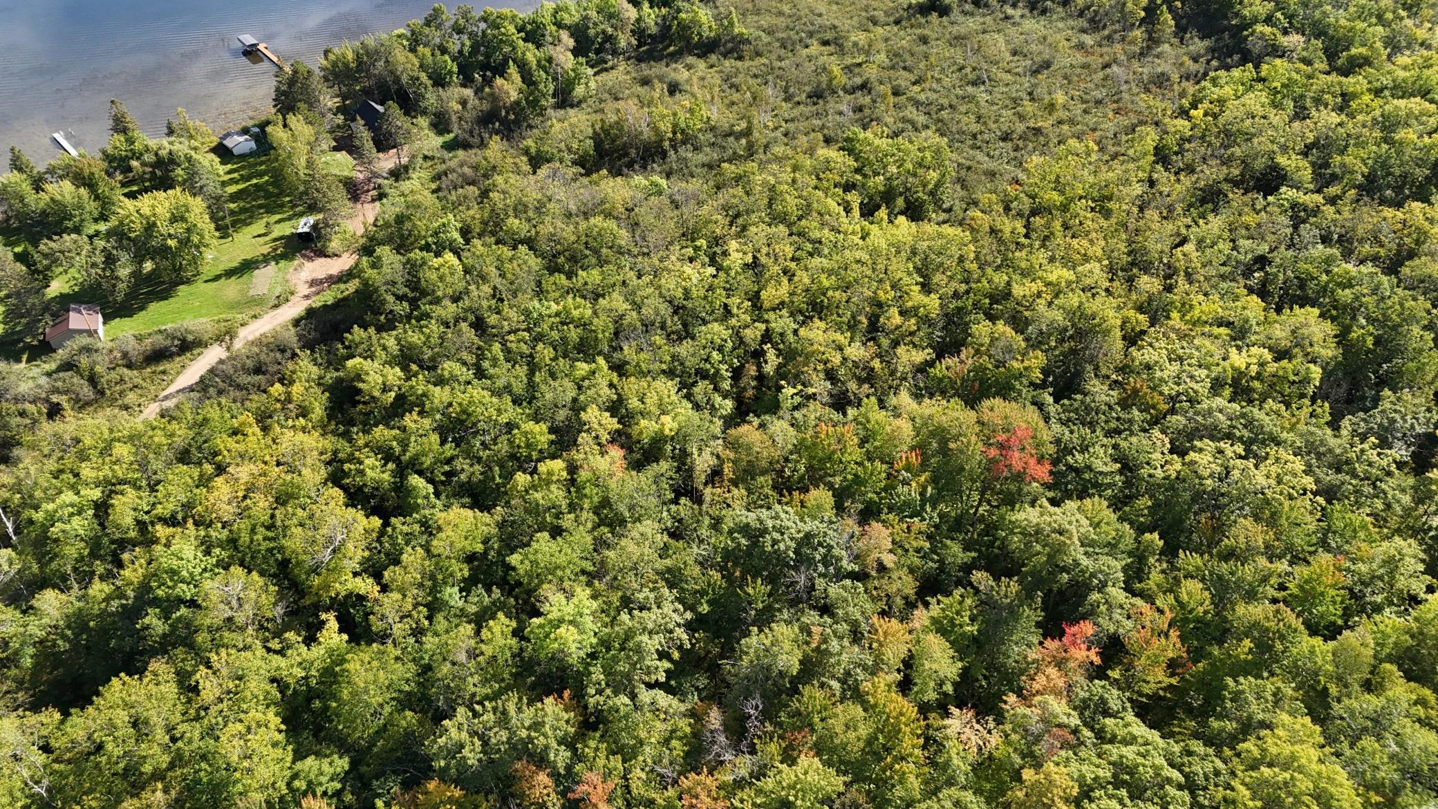land for sale at XXX County Road 109 in Merrifield, MN (photo 5 of 16)