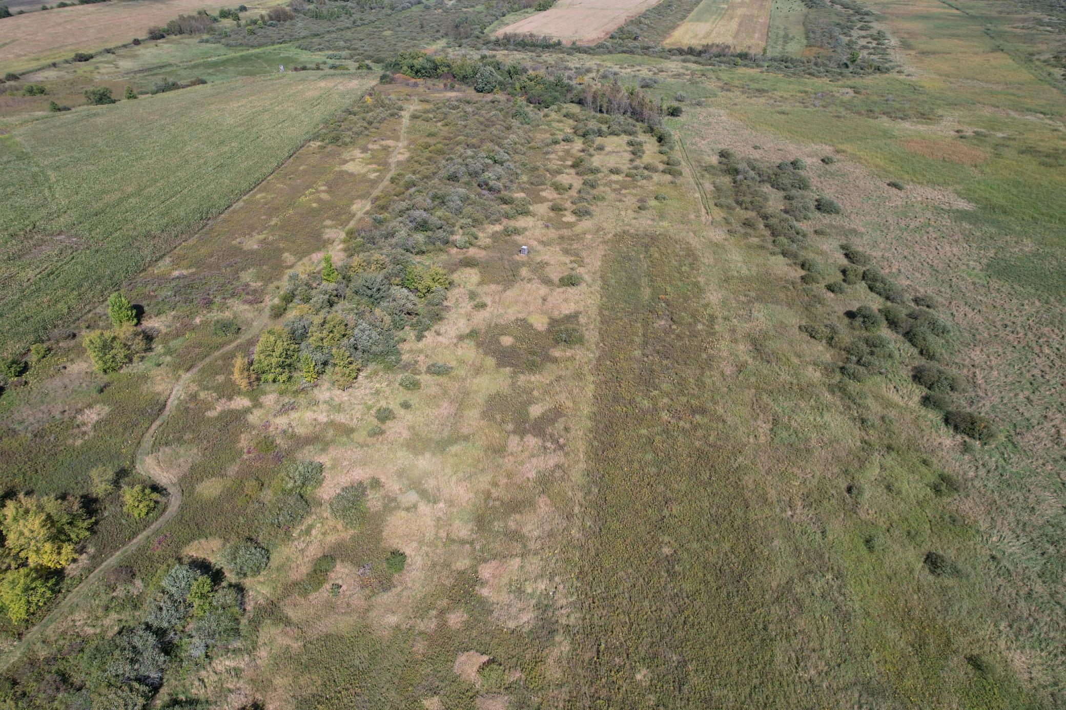 land for sale at TBD 400th Street in Bertha, MN (photo 14 of 46)