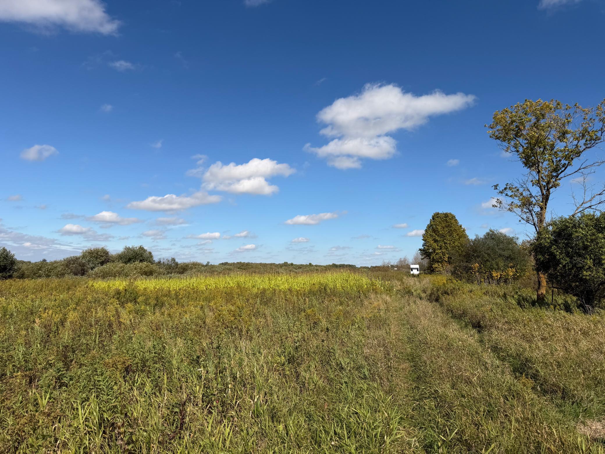 land for sale at TBD 400th Street in Bertha, MN (photo 16 of 46)