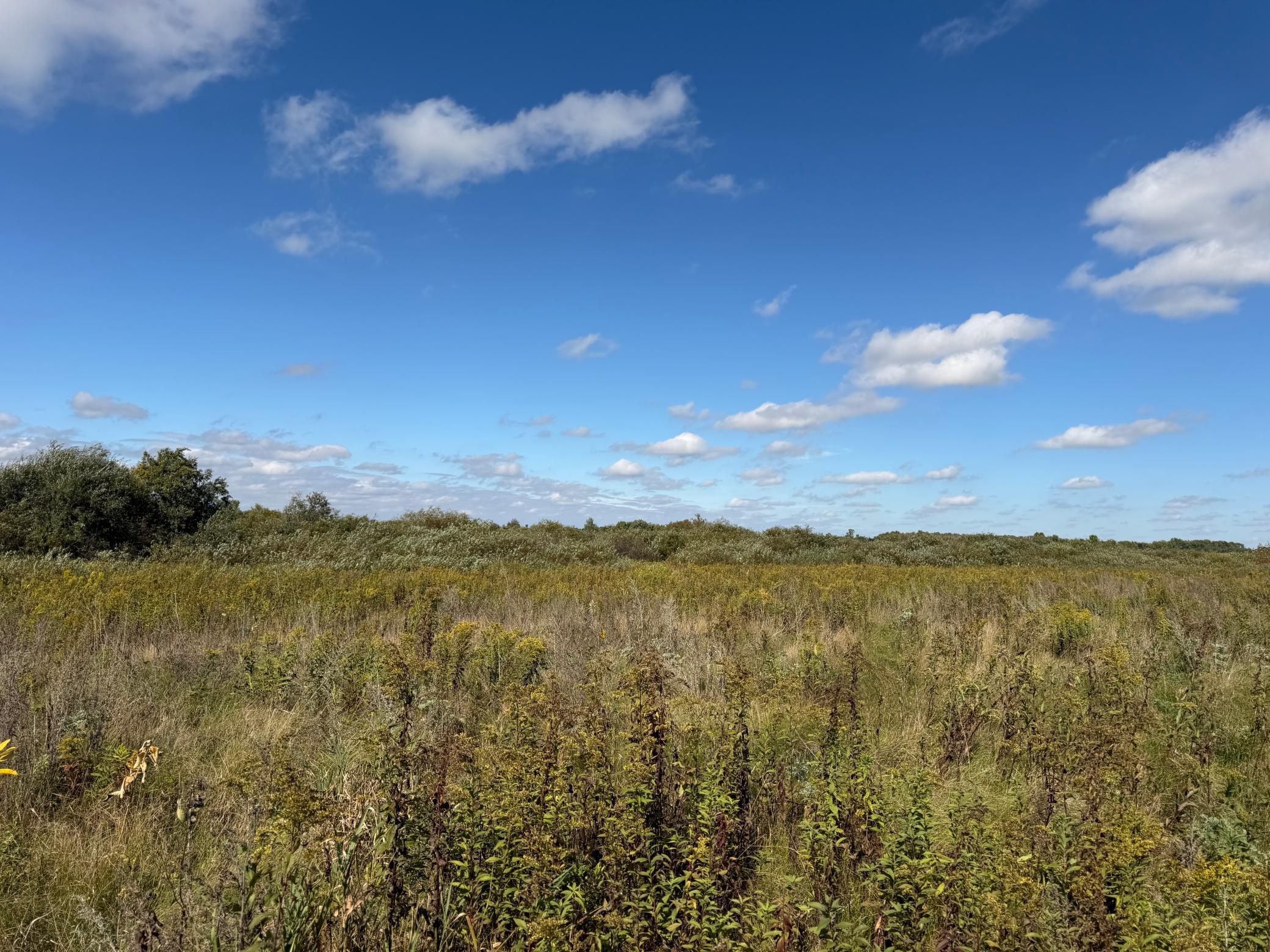 land for sale at TBD 400th Street in Bertha, MN (photo 17 of 46)