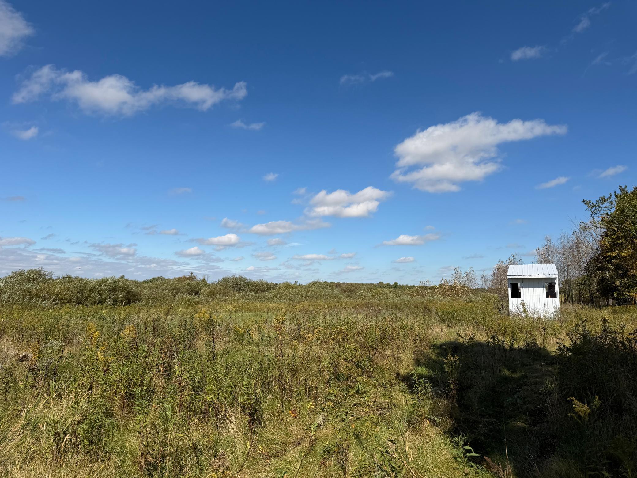 land for sale at TBD 400th Street in Bertha, MN (photo 18 of 46)