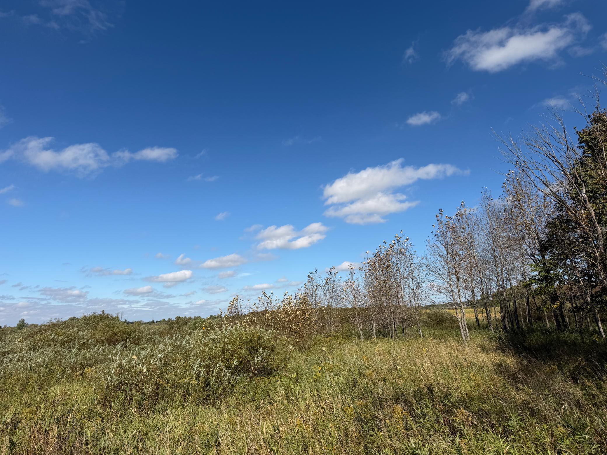land for sale at TBD 400th Street in Bertha, MN (photo 19 of 46)