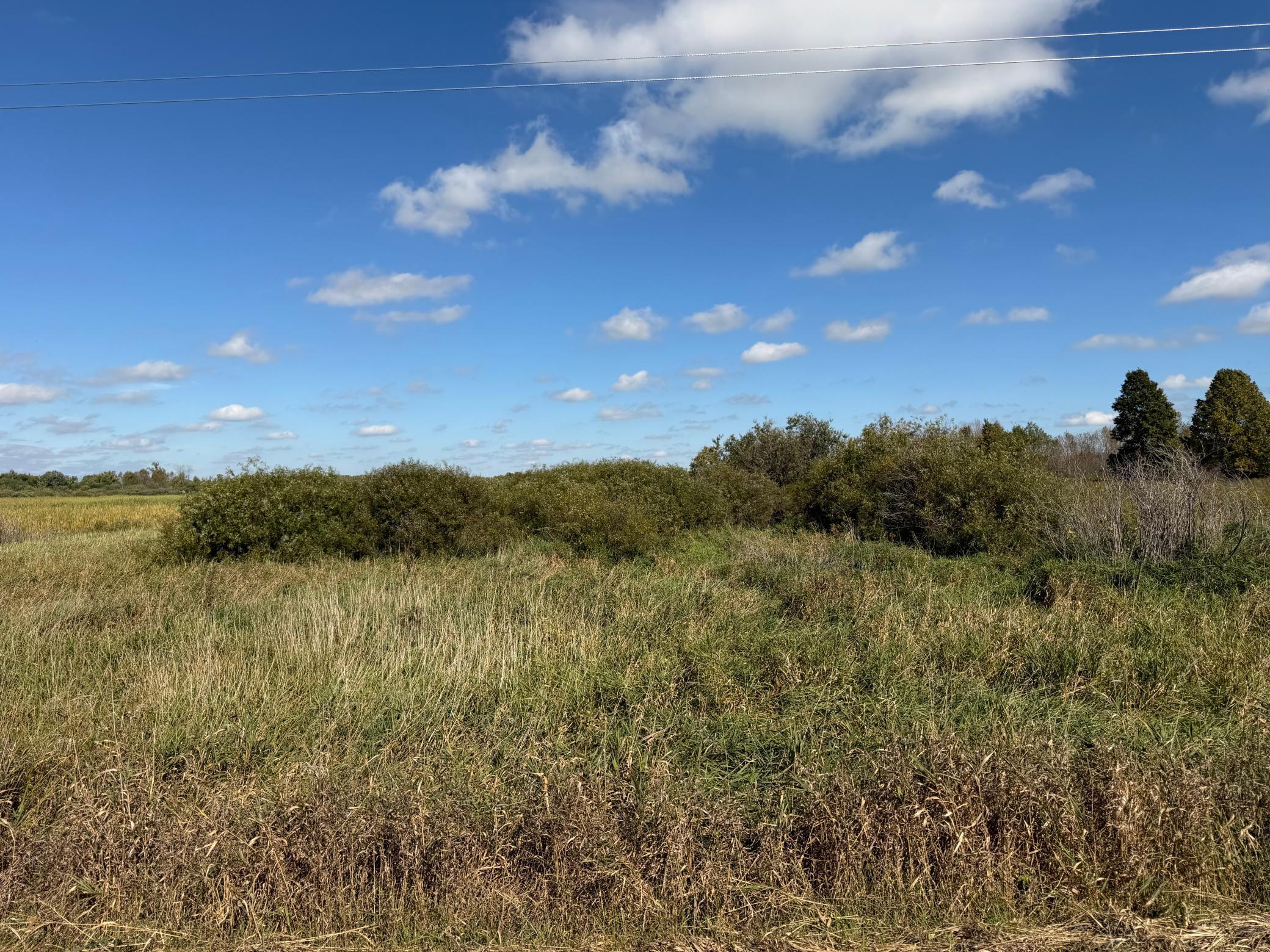 land for sale at TBD 400th Street in Bertha, MN (photo 20 of 46)