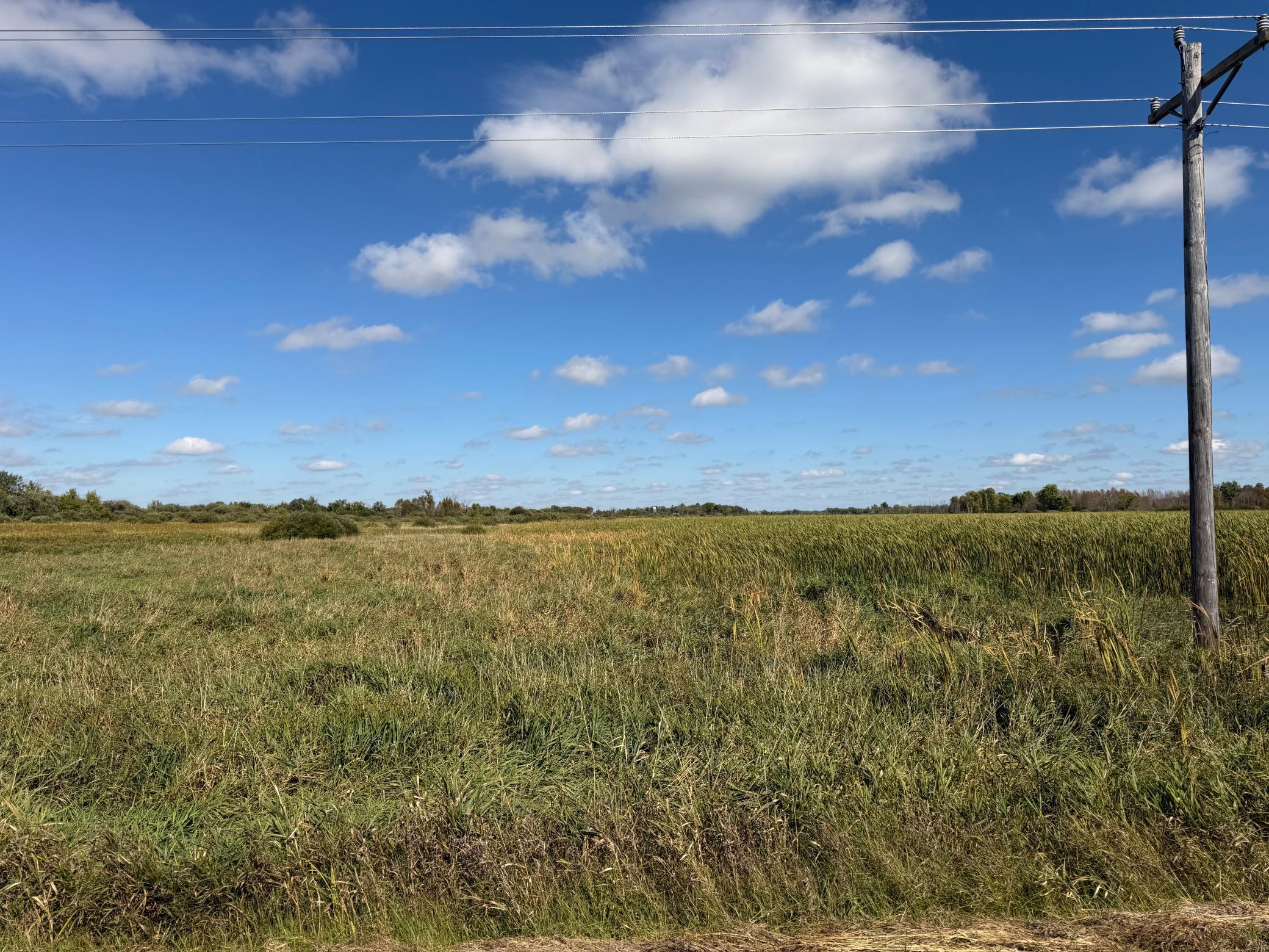 land for sale at TBD 400th Street in Bertha, MN (photo 21 of 46)