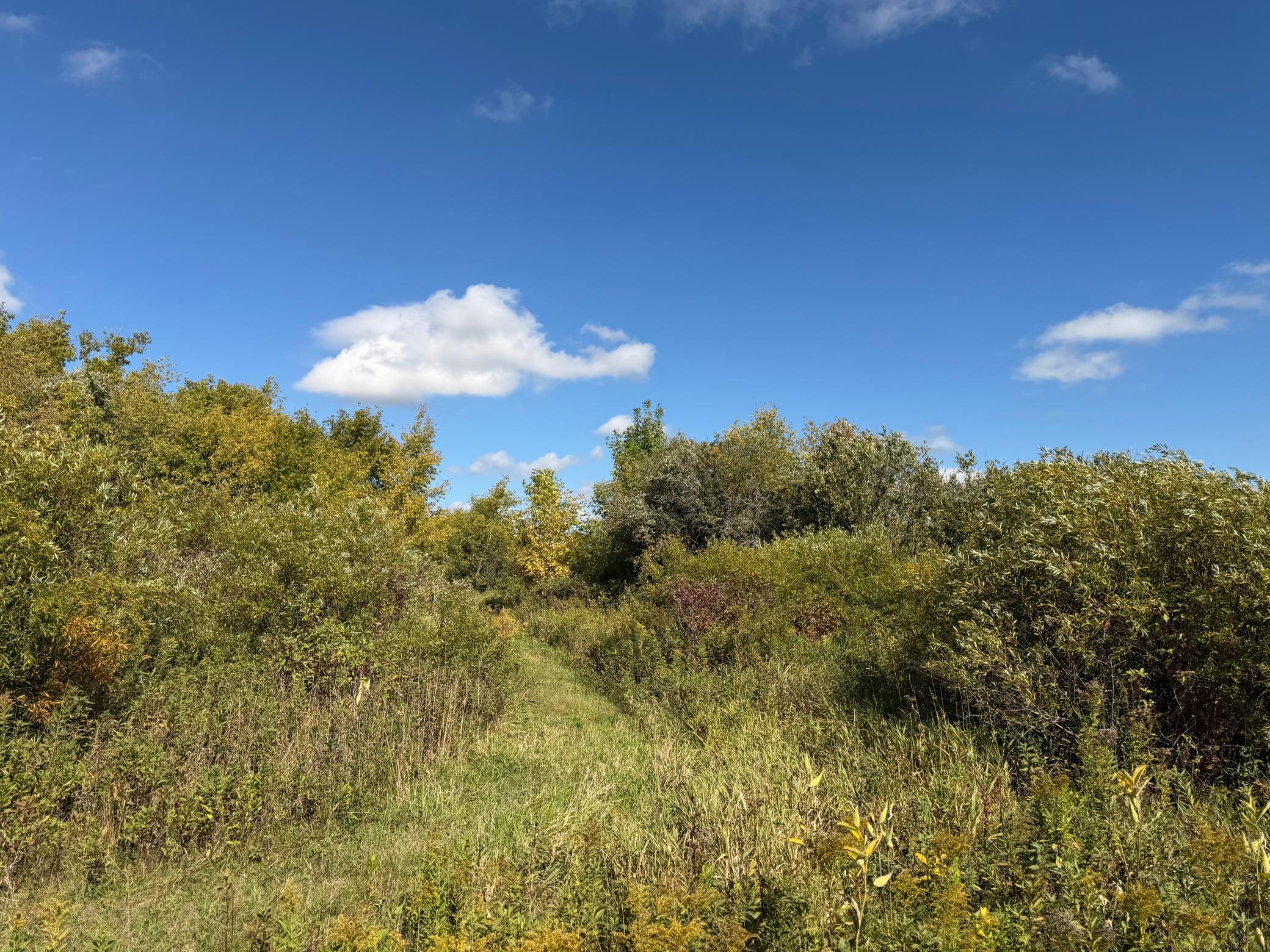 land for sale at TBD 400th Street in Bertha, MN (photo 25 of 46)
