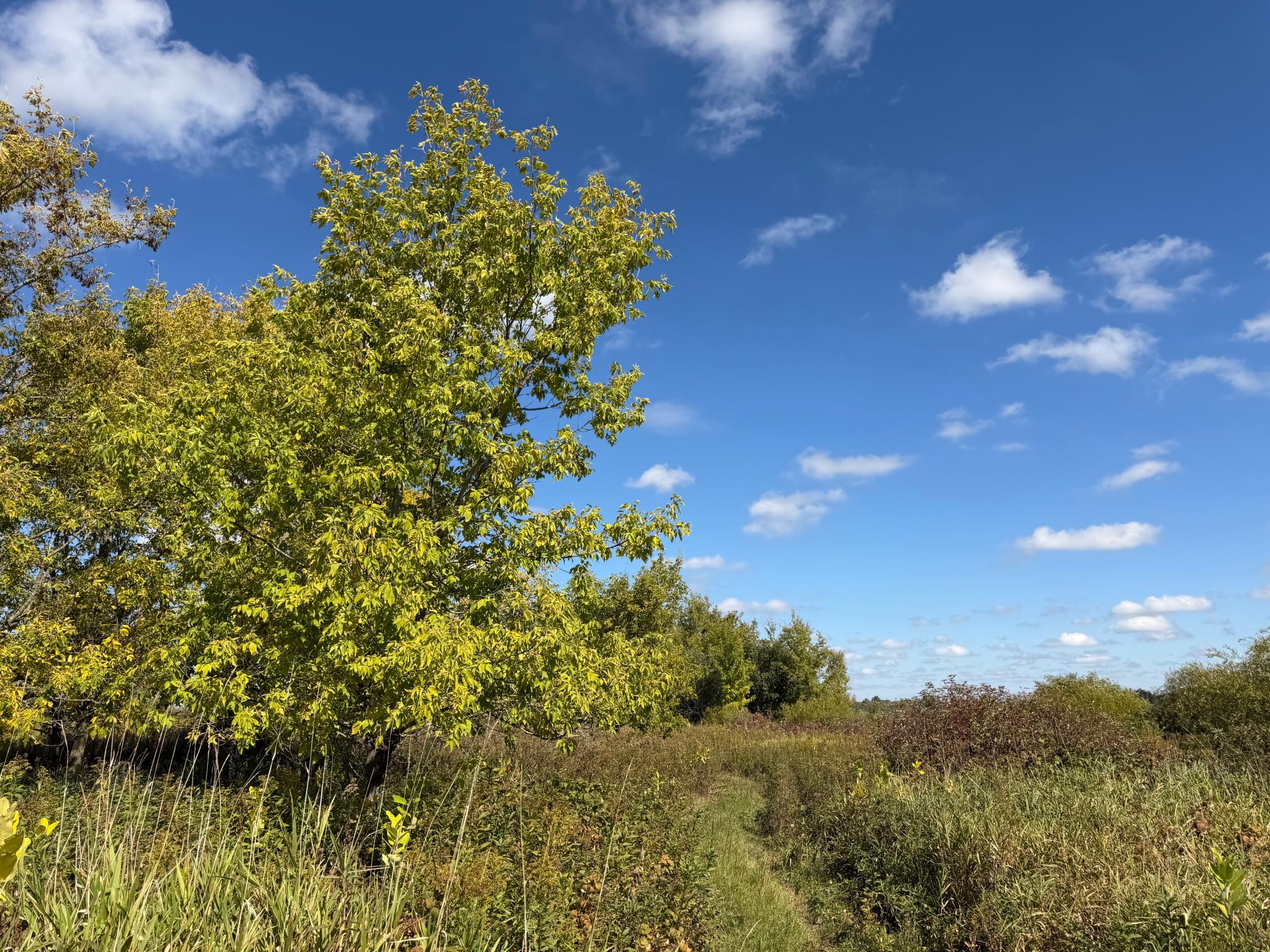 land for sale at TBD 400th Street in Bertha, MN (photo 27 of 46)