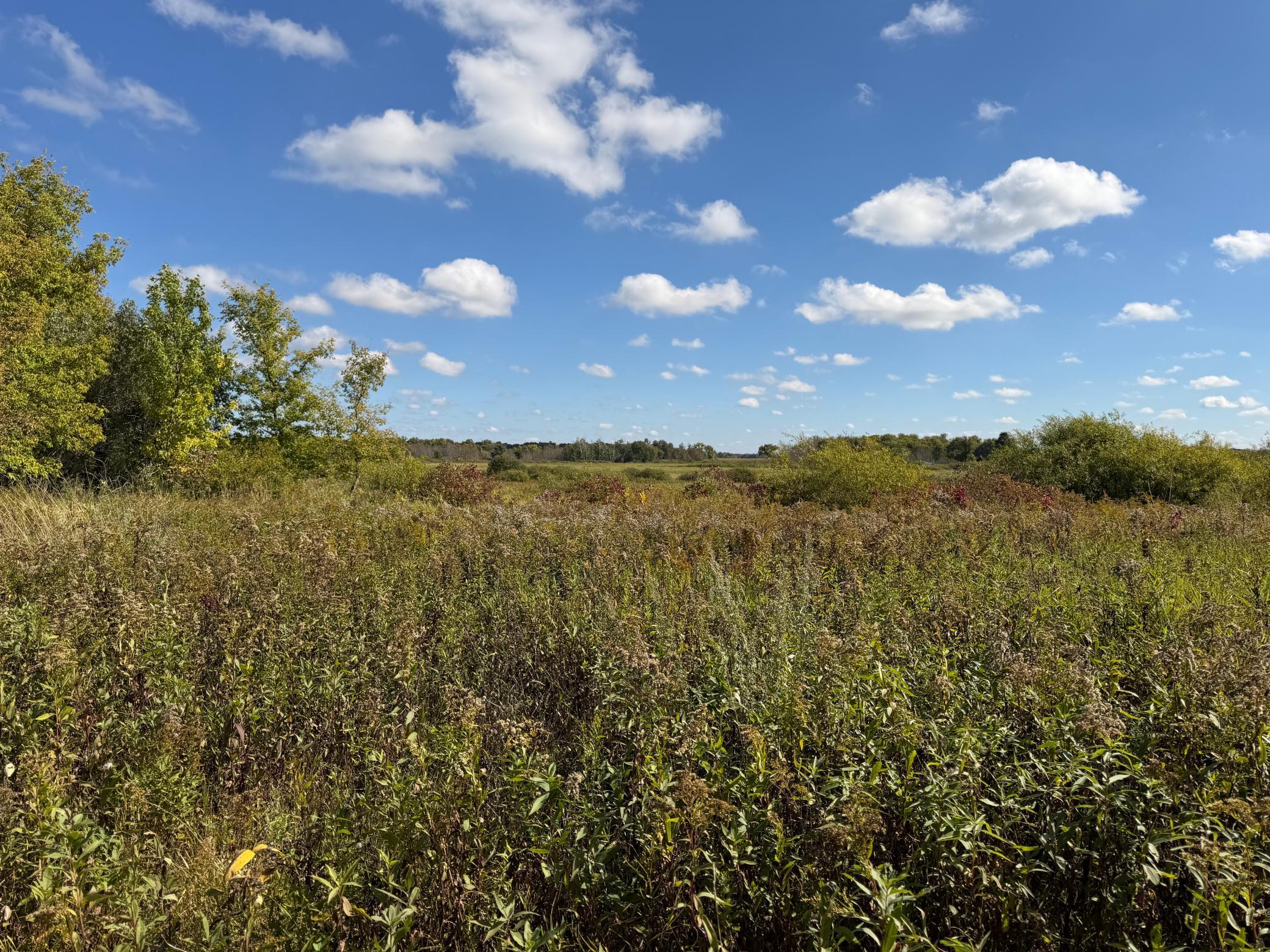 land for sale at TBD 400th Street in Bertha, MN (photo 28 of 46)