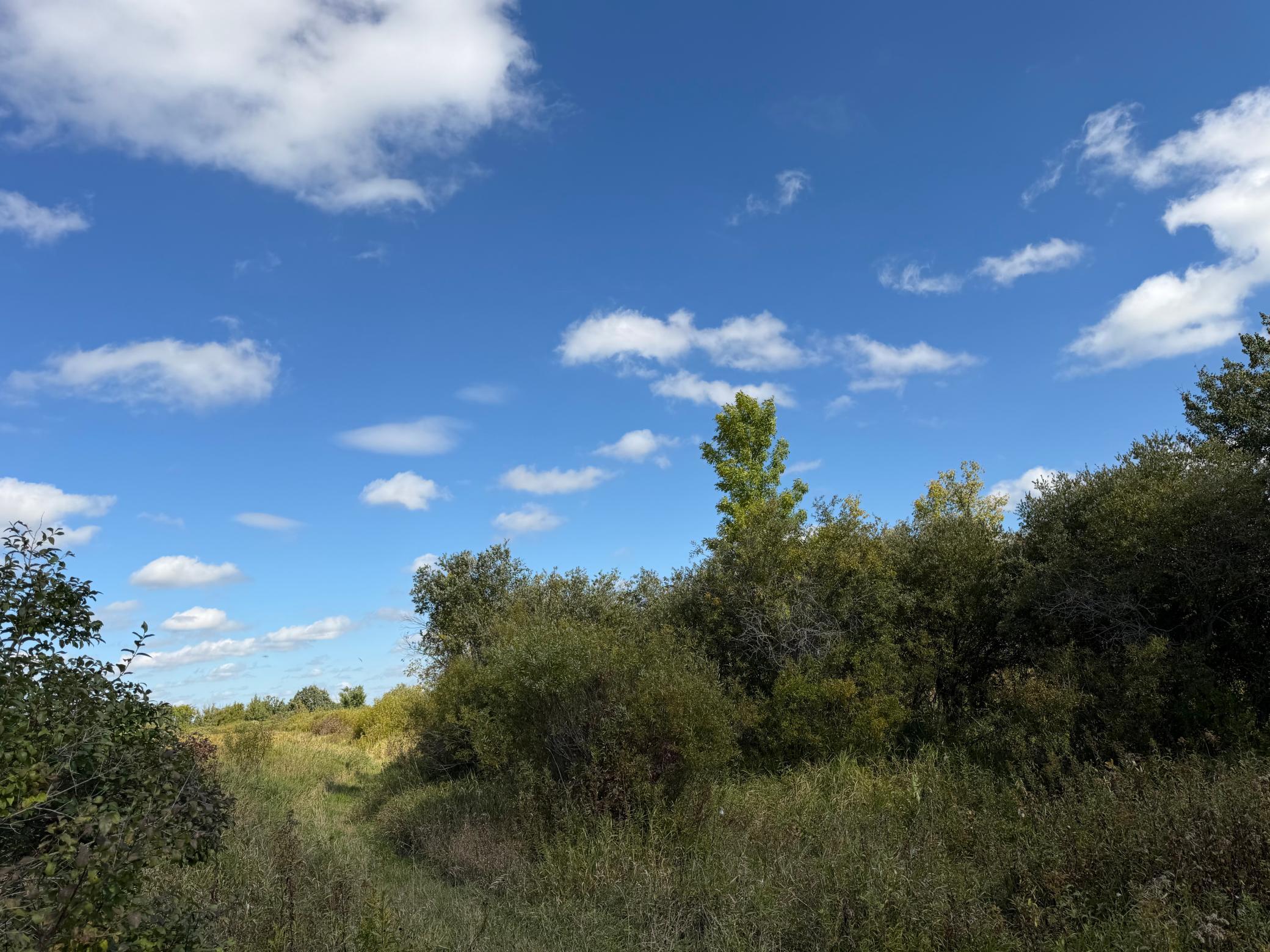 land for sale at TBD 400th Street in Bertha, MN (photo 29 of 46)