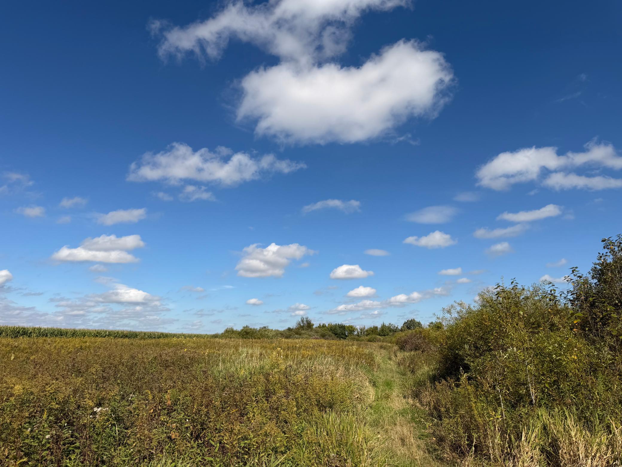 land for sale at TBD 400th Street in Bertha, MN (photo 30 of 46)