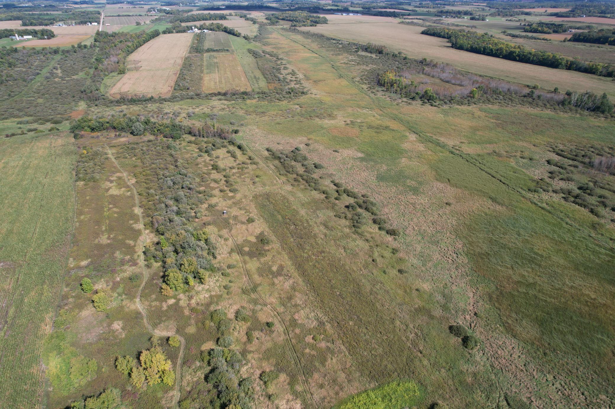land for sale at TBD 400th Street in Bertha, MN (photo 4 of 46)