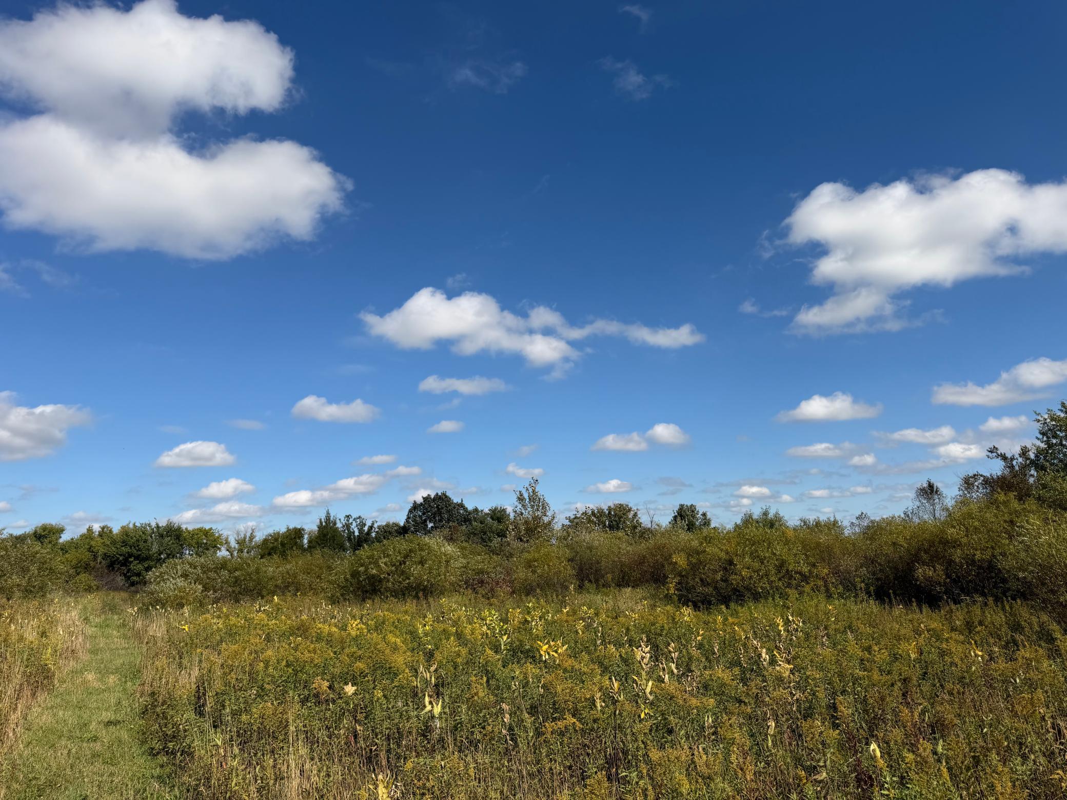 land for sale at TBD 400th Street in Bertha, MN (photo 31 of 46)