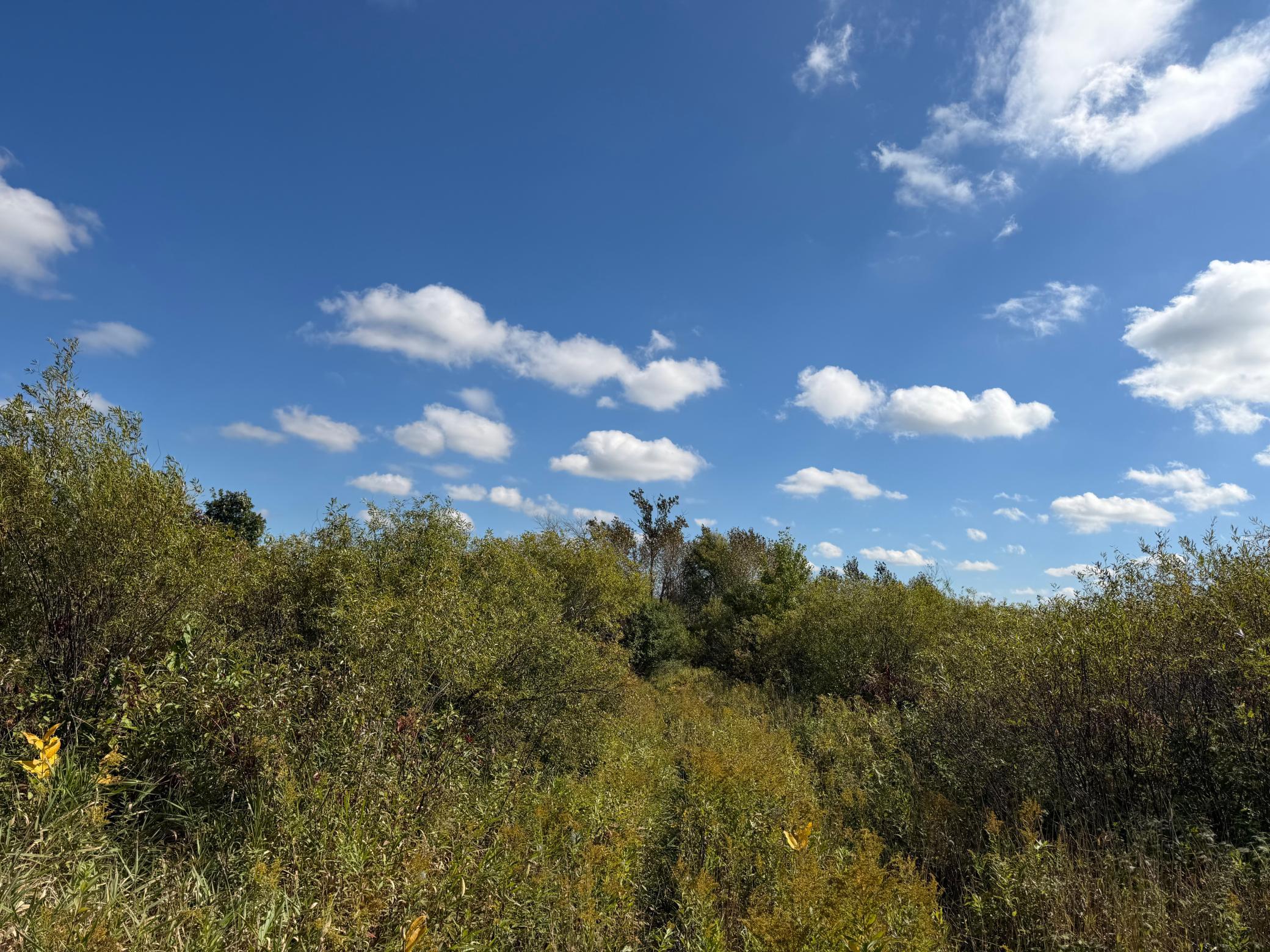 land for sale at TBD 400th Street in Bertha, MN (photo 32 of 46)