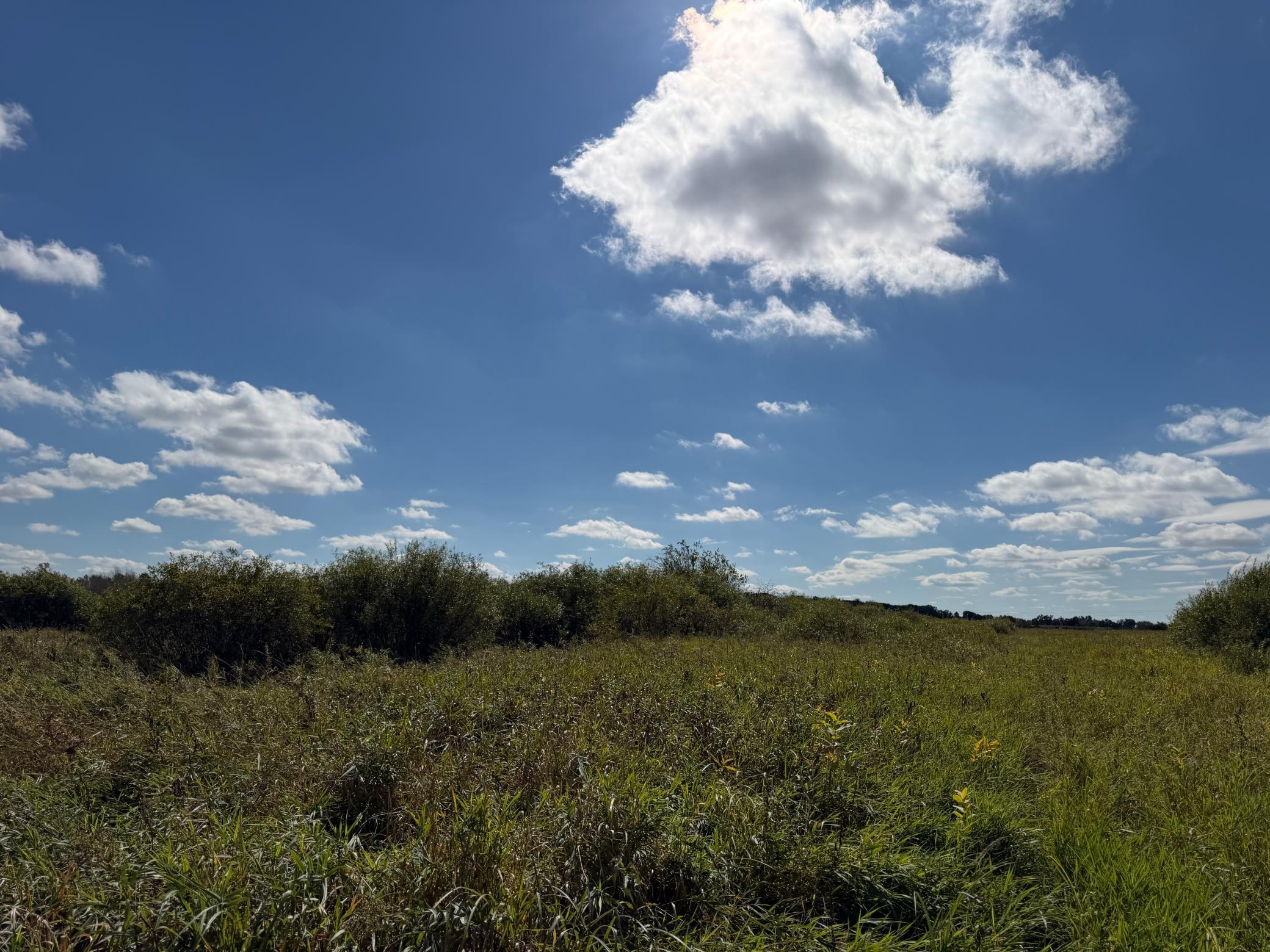 land for sale at TBD 400th Street in Bertha, MN (photo 34 of 46)