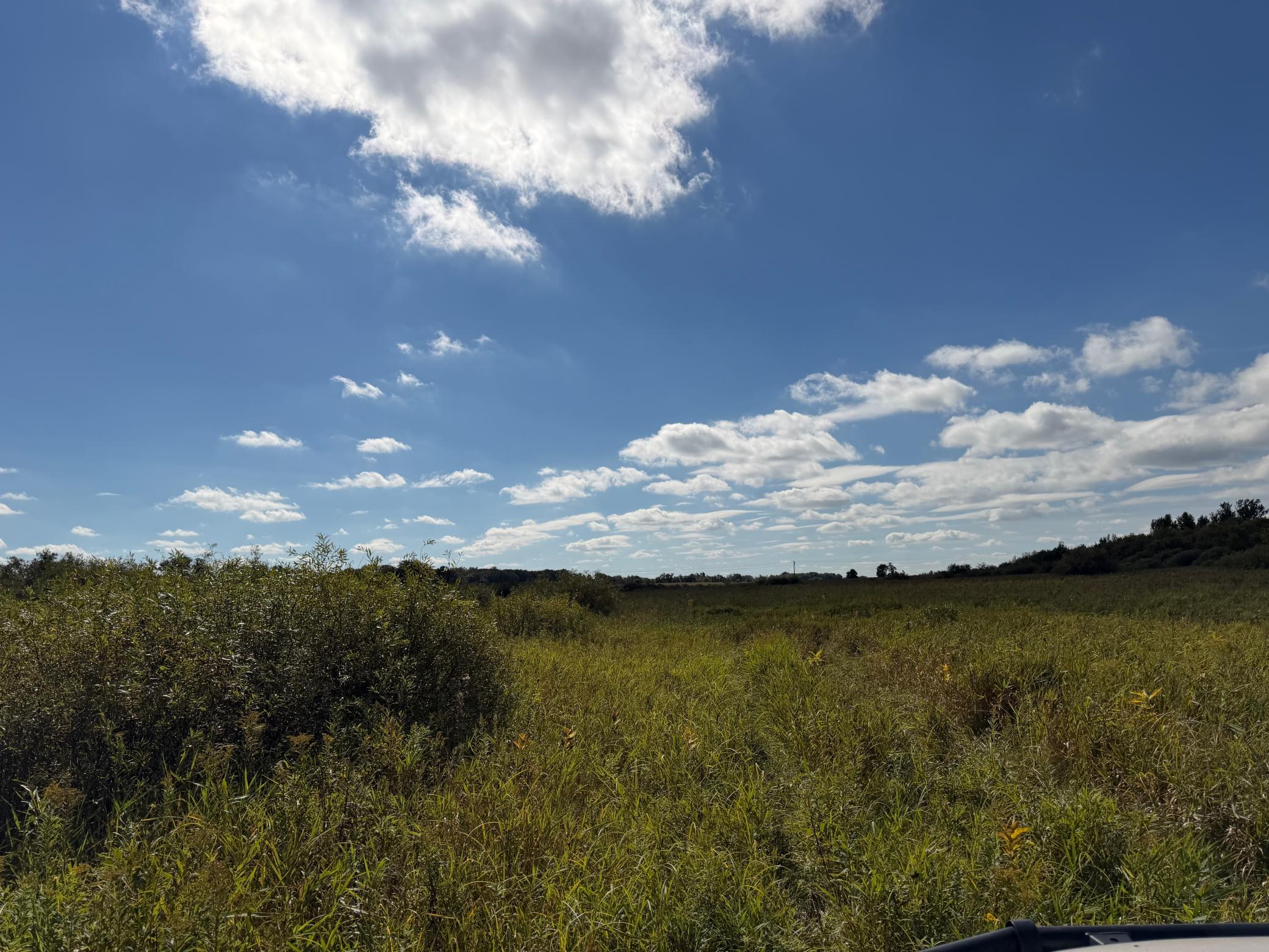 land for sale at TBD 400th Street in Bertha, MN (photo 35 of 46)