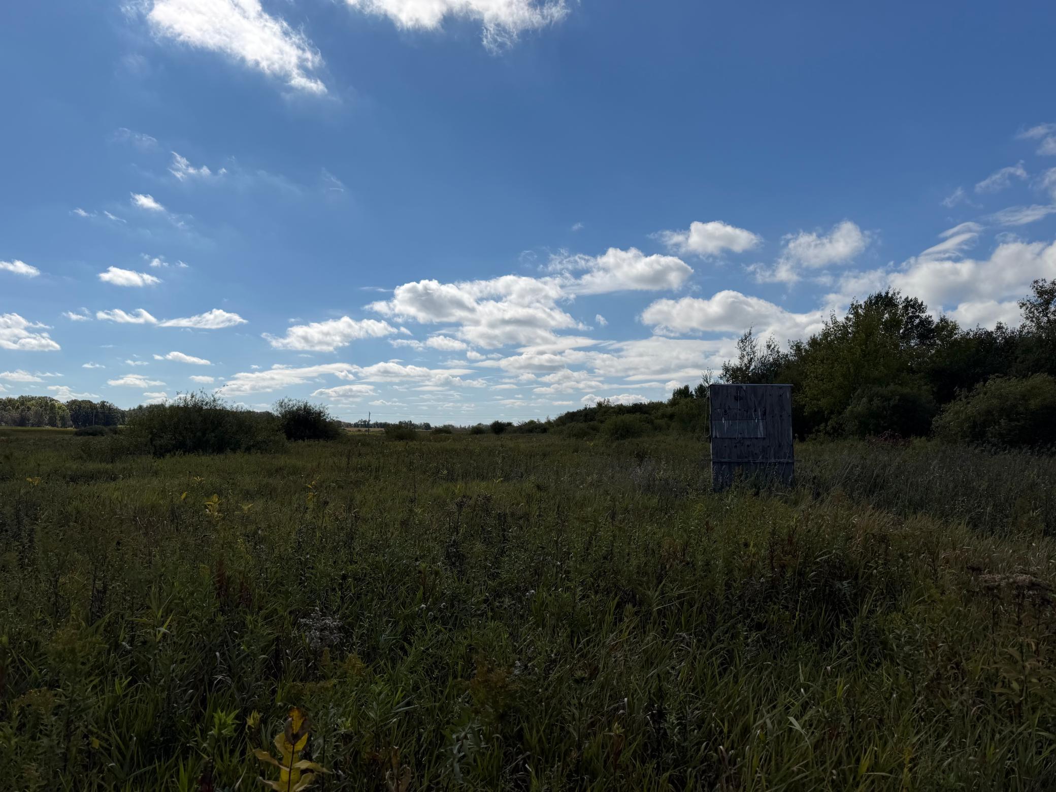 land for sale at TBD 400th Street in Bertha, MN (photo 36 of 46)