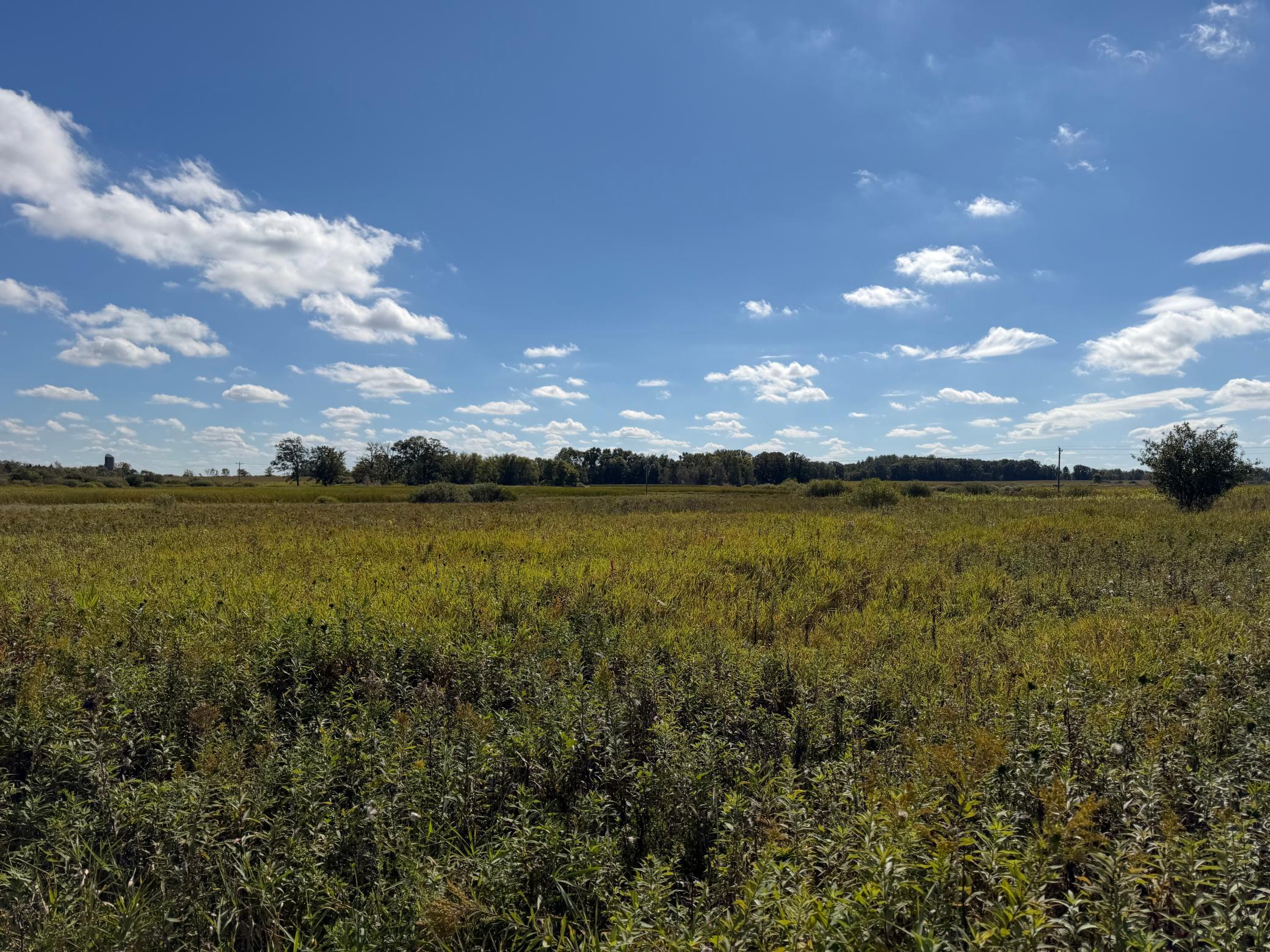 land for sale at TBD 400th Street in Bertha, MN (photo 37 of 46)