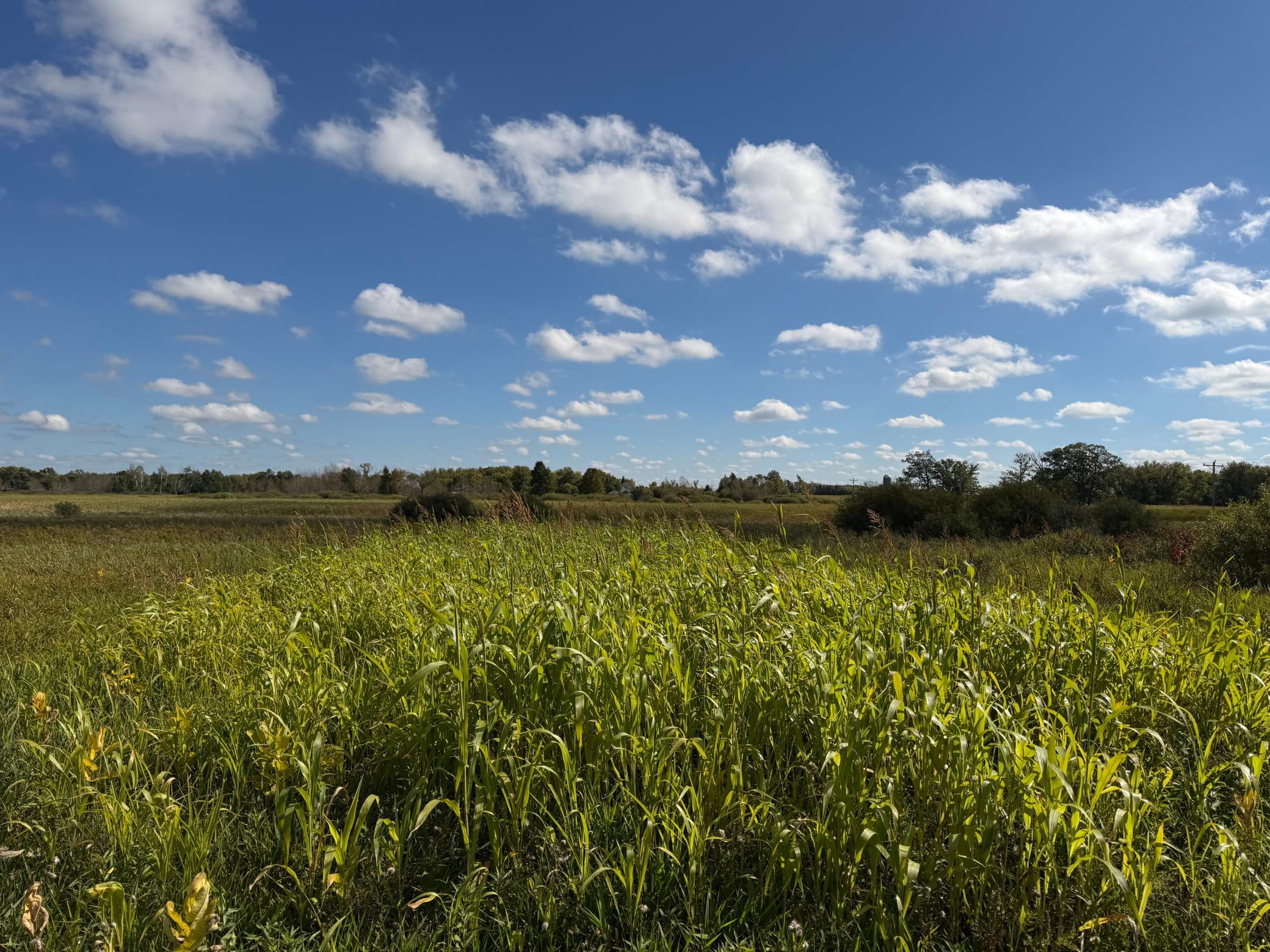 land for sale at TBD 400th Street in Bertha, MN (photo 38 of 46)