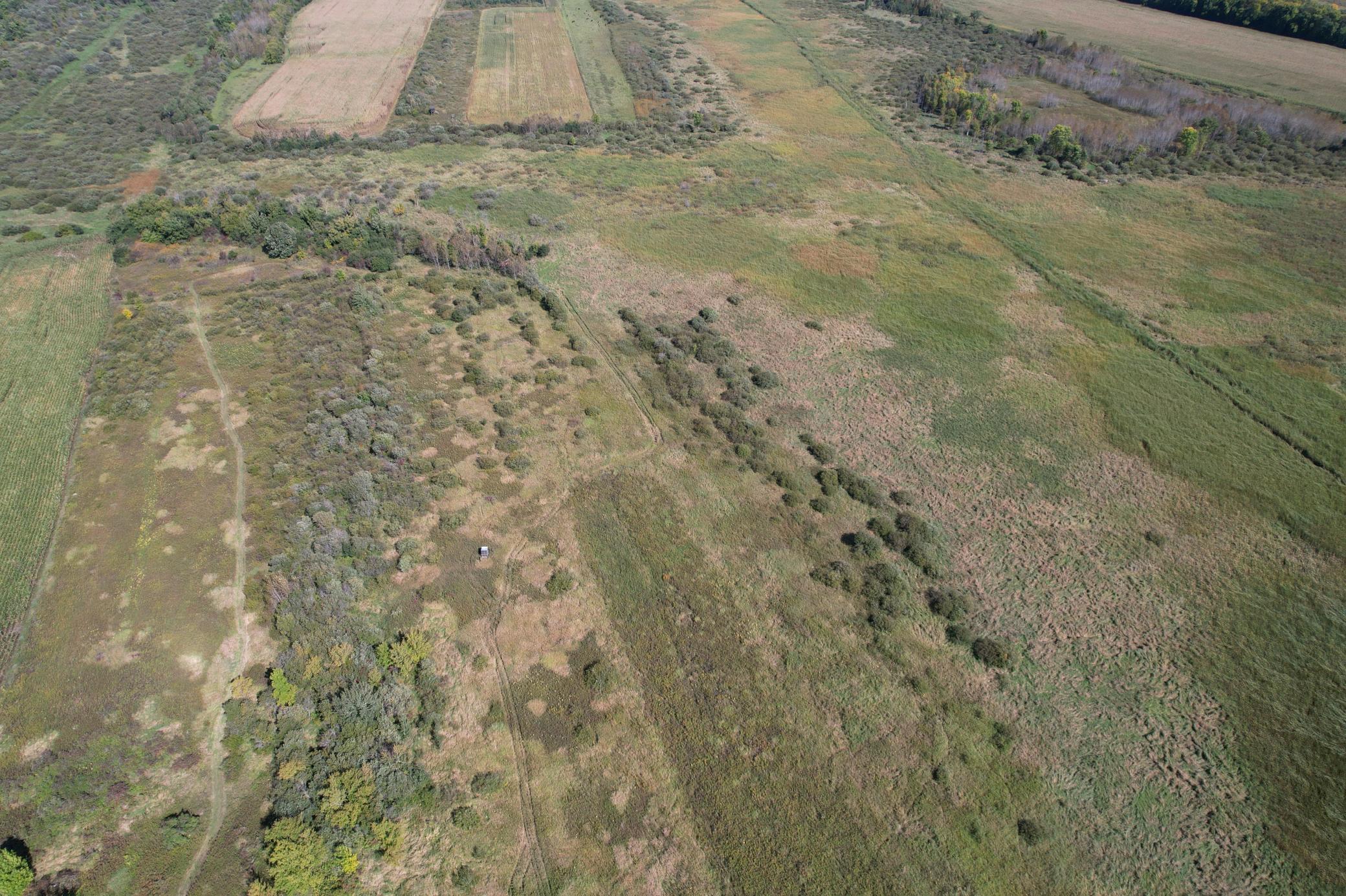 land for sale at TBD 400th Street in Bertha, MN (photo 5 of 46)