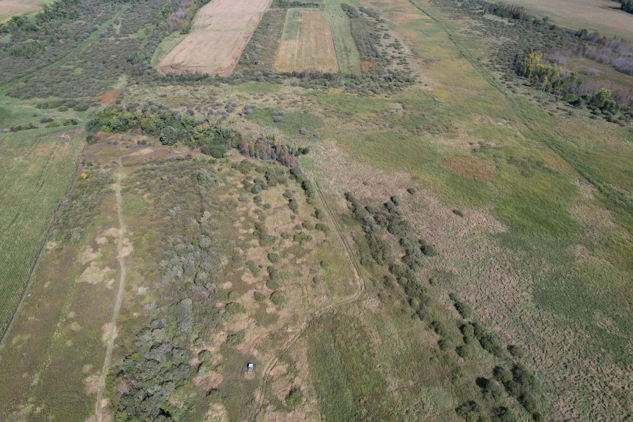 land for sale at TBD 400th Street in Bertha, MN (photo 6 of 46)