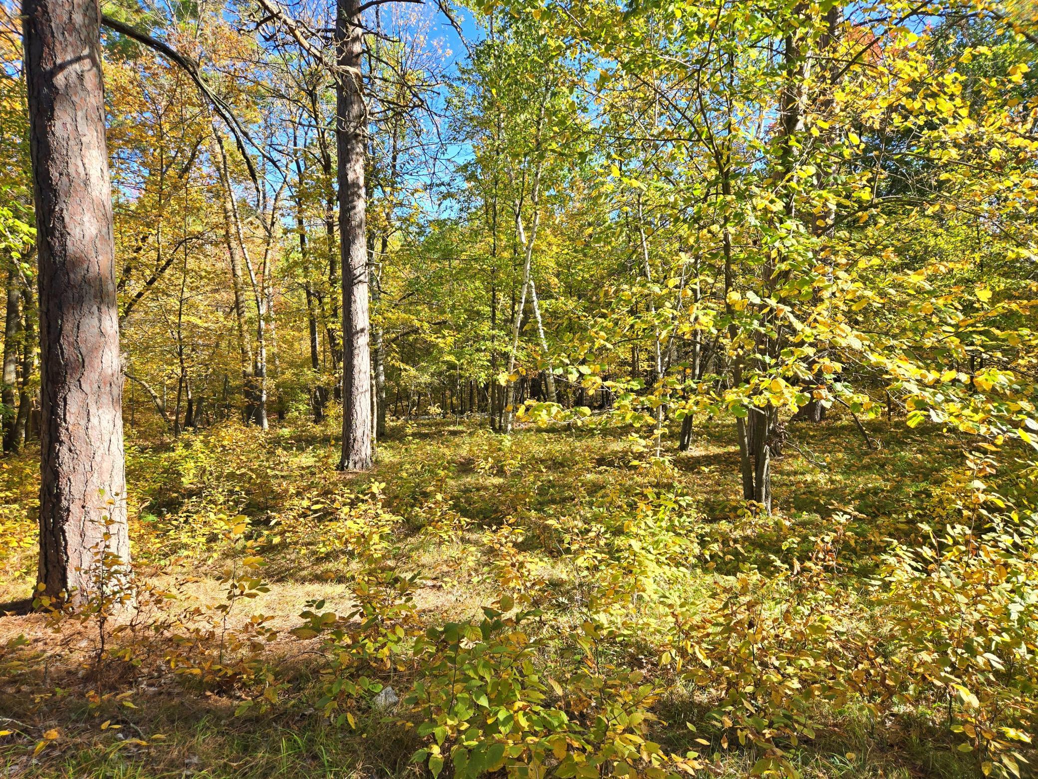 land for sale at TBD Ironwood Drive in Park Rapids, MN (photo 11 of 12)