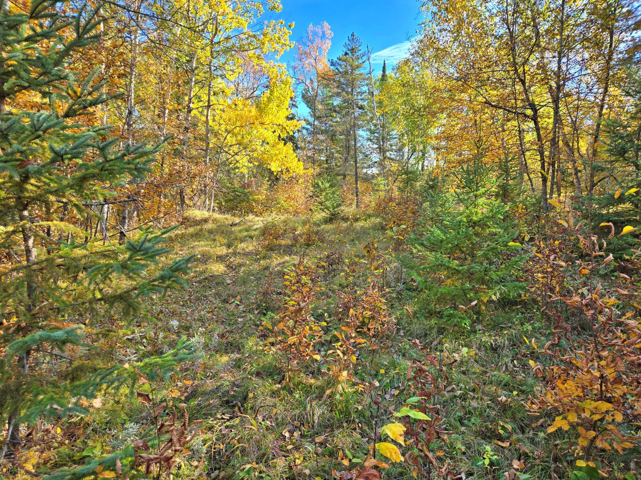 land for sale at TBD Ironwood Drive in Park Rapids, MN (photo 5 of 12)