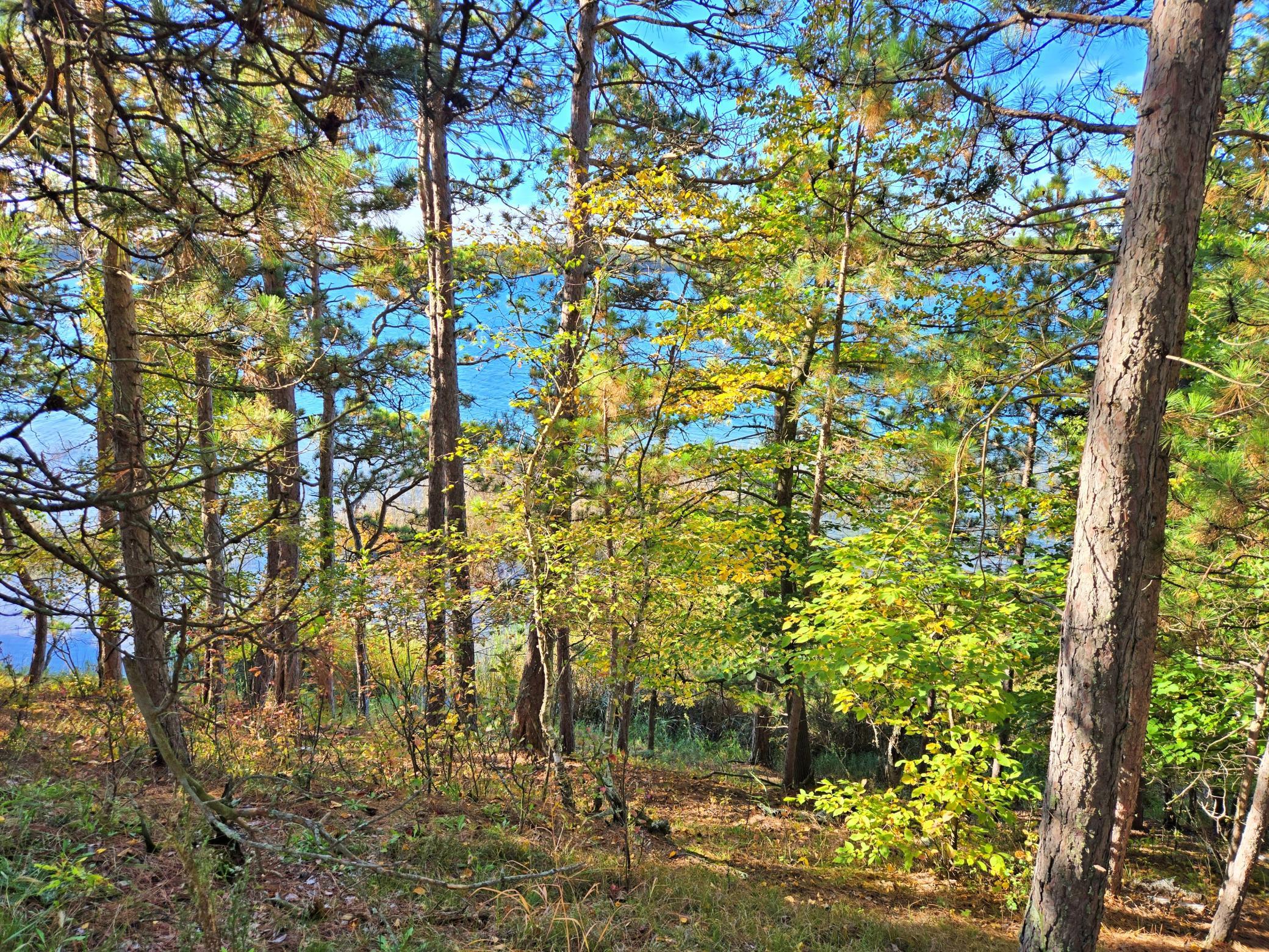 land for sale at TBD Ironwood Drive in Park Rapids, MN (photo 8 of 12)