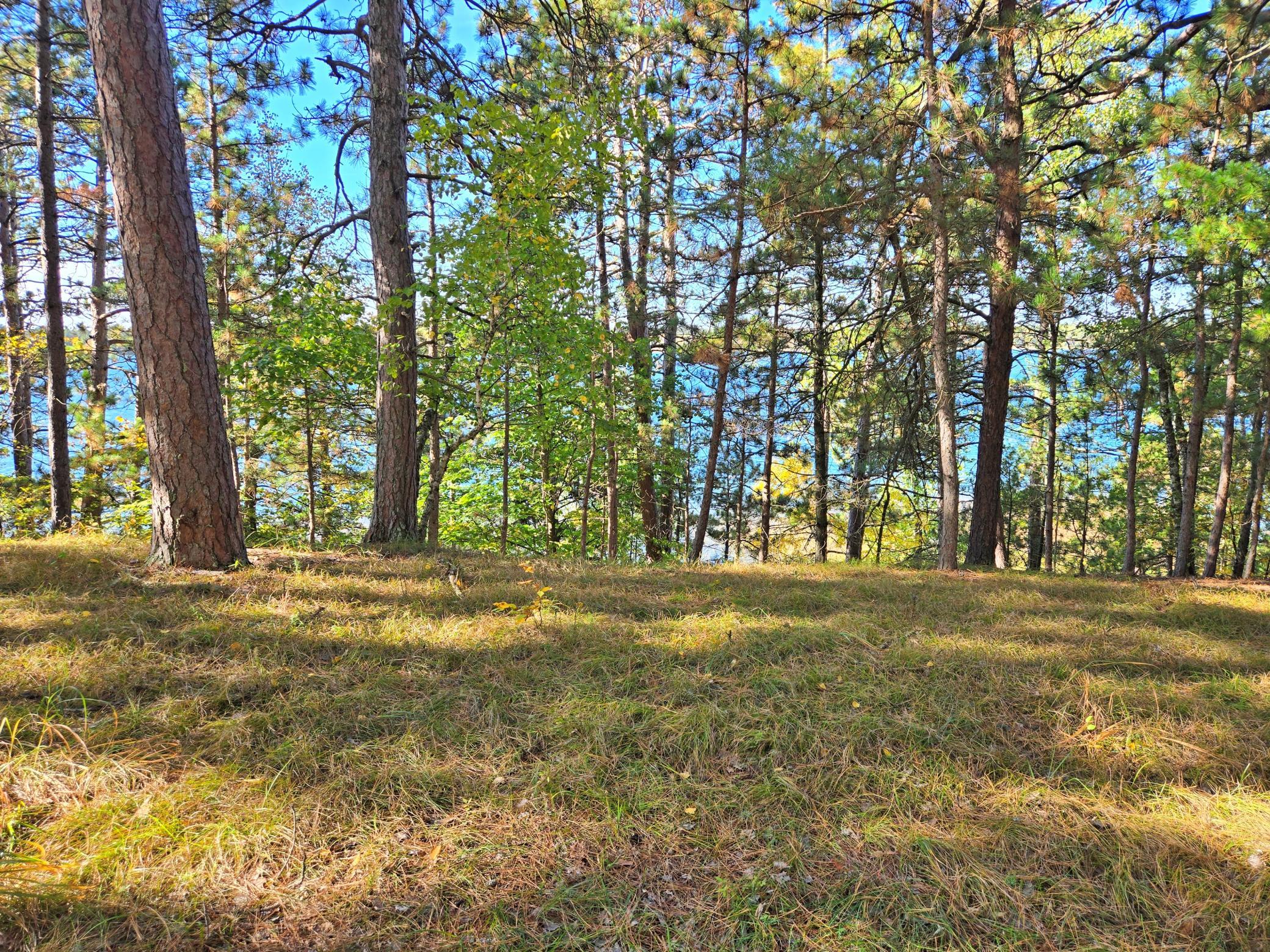 land for sale at TBD Ironwood Drive in Park Rapids, MN (photo 9 of 12)
