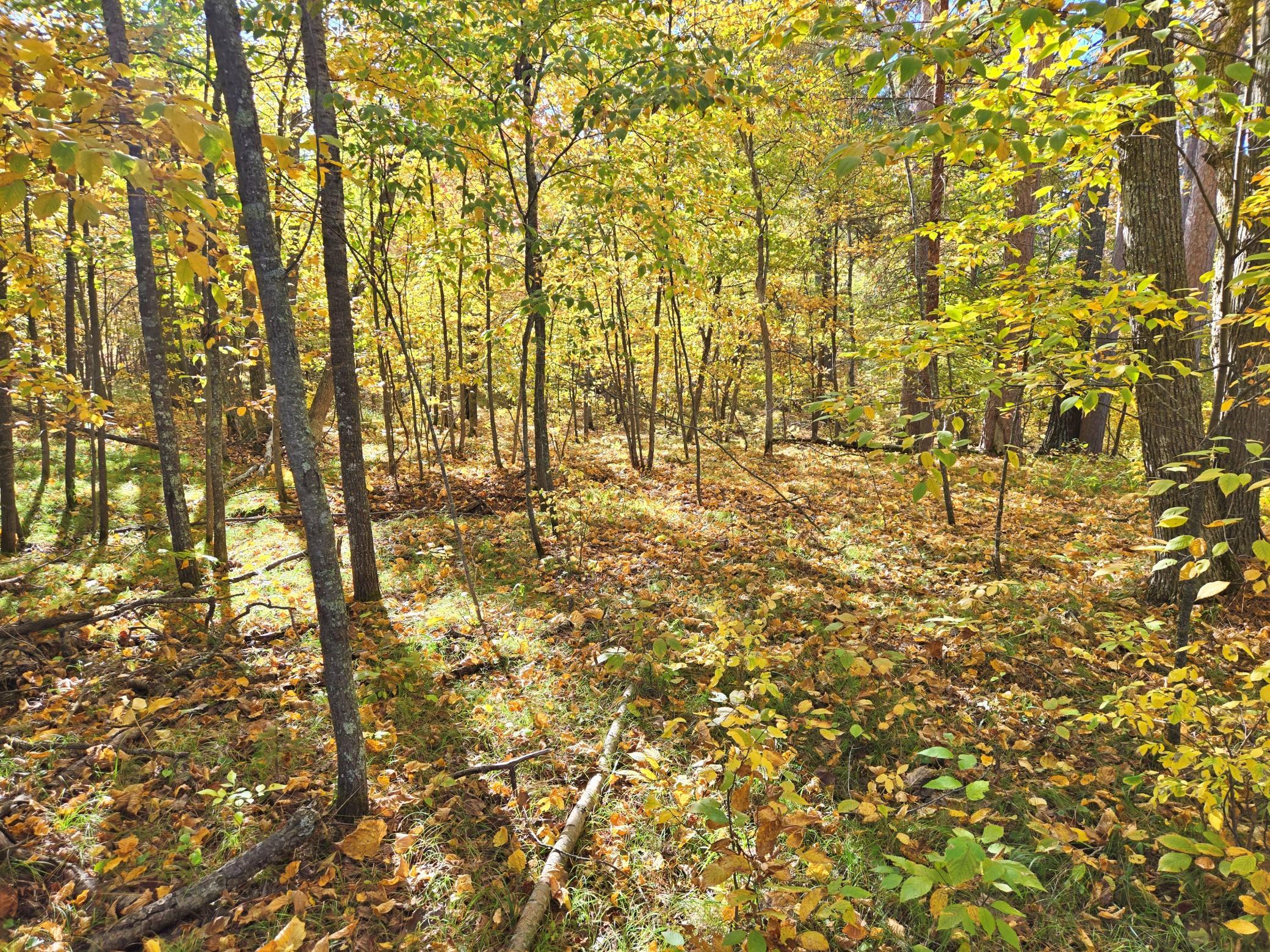 land for sale at TBD Ironwood Drive in Park Rapids, MN (photo 10 of 12)