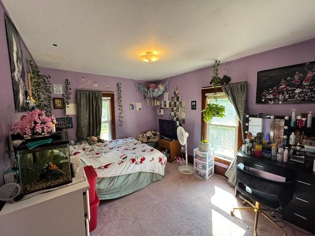 1880 single family home for sale at 703 1st Street SE in Wadena, MN — 4 bed, 2 bath (photo 42 of 54)