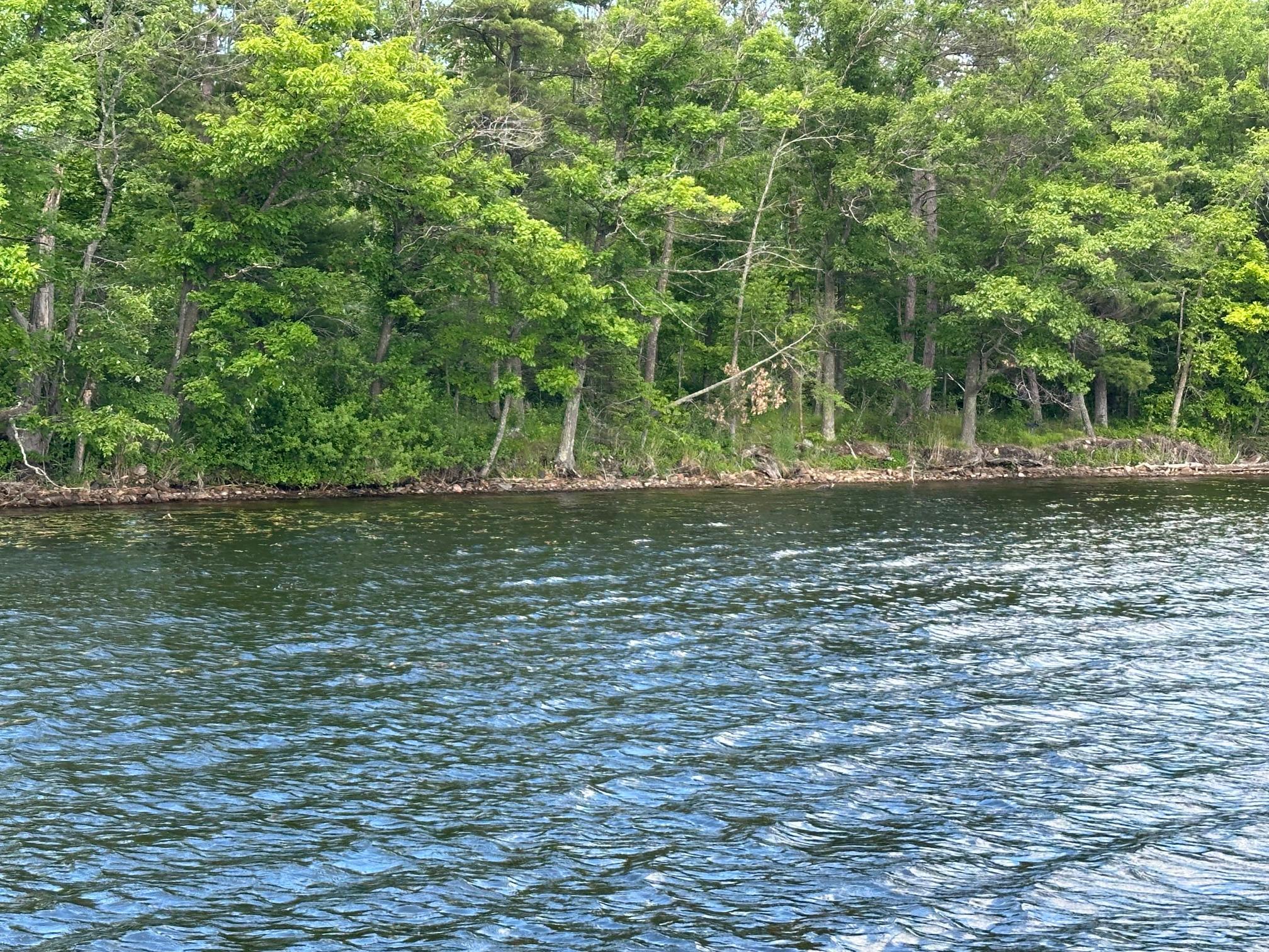 2015 land for sale at 36599 Dove Street in Aitkin, MN (photo 2 of 16)