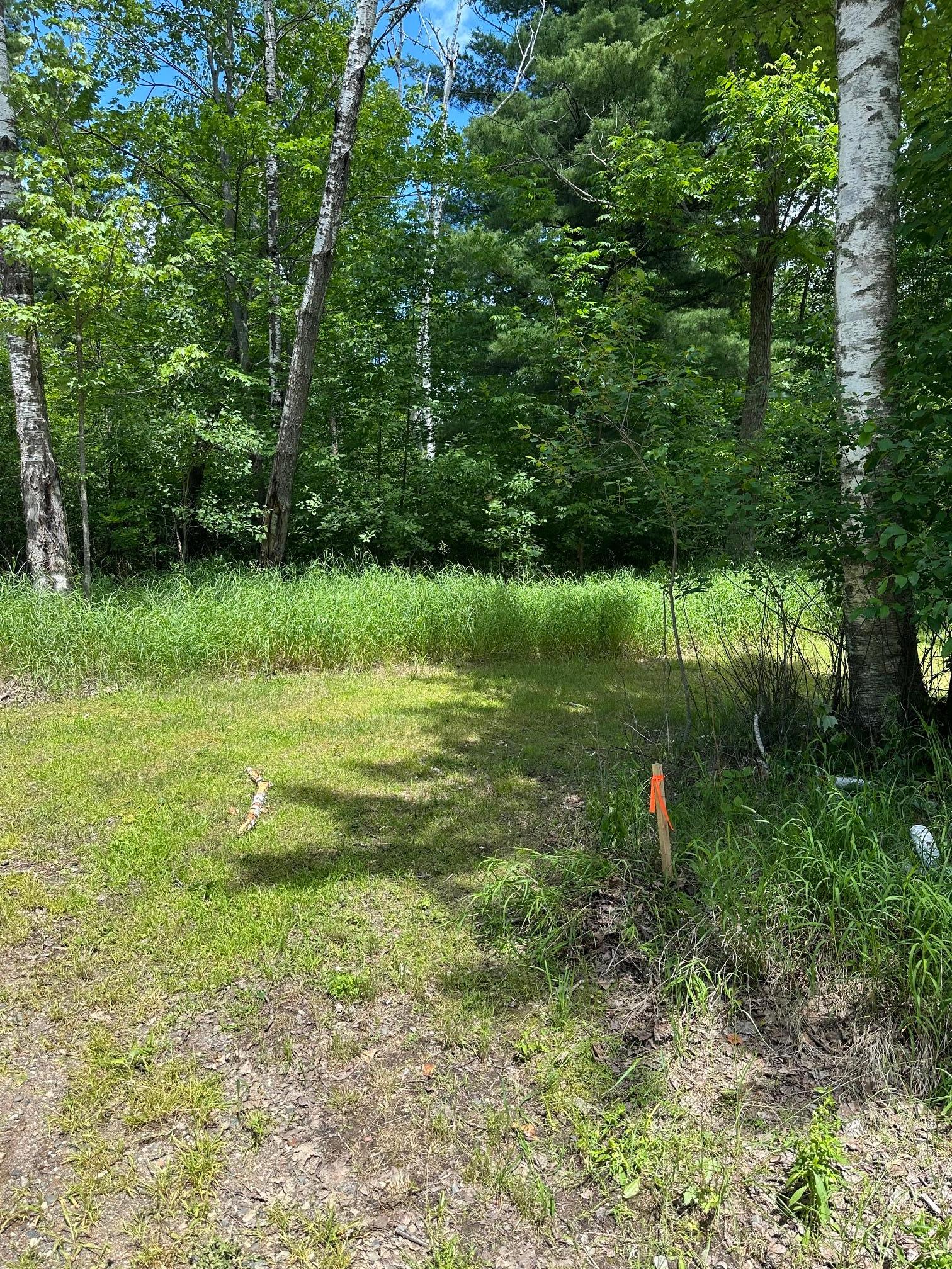 2015 land for sale at 36599 Dove Street in Aitkin, MN (photo 11 of 16)