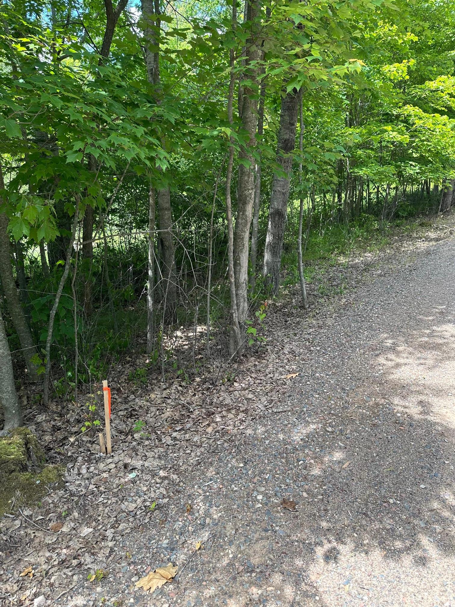2015 land for sale at 36599 Dove Street in Aitkin, MN (photo 12 of 16)