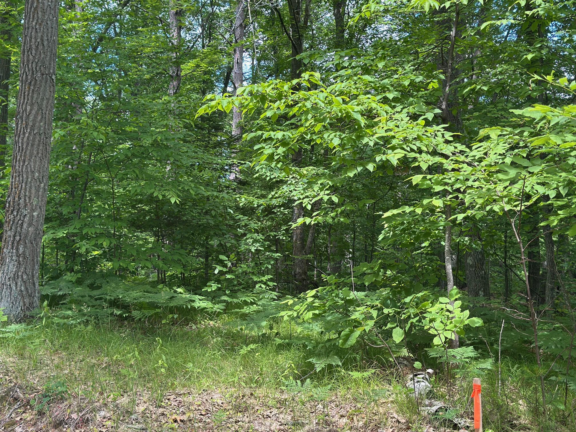 2015 land for sale at 36599 Dove Street in Aitkin, MN (photo 15 of 16)