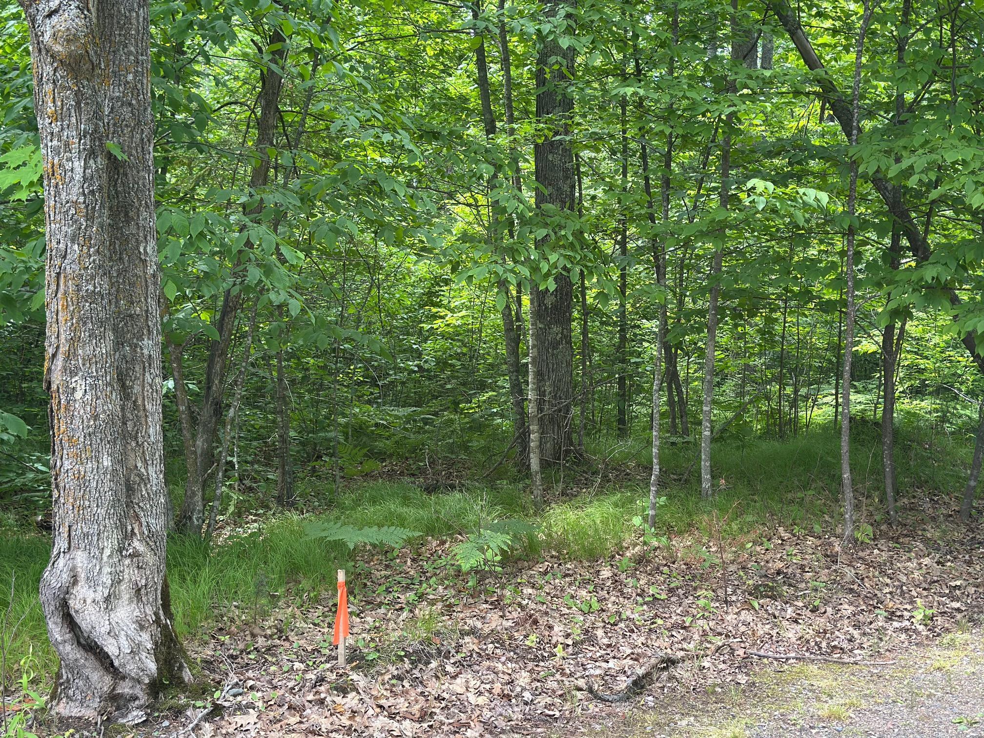 2015 land for sale at 36599 Dove Street in Aitkin, MN (photo 16 of 16)