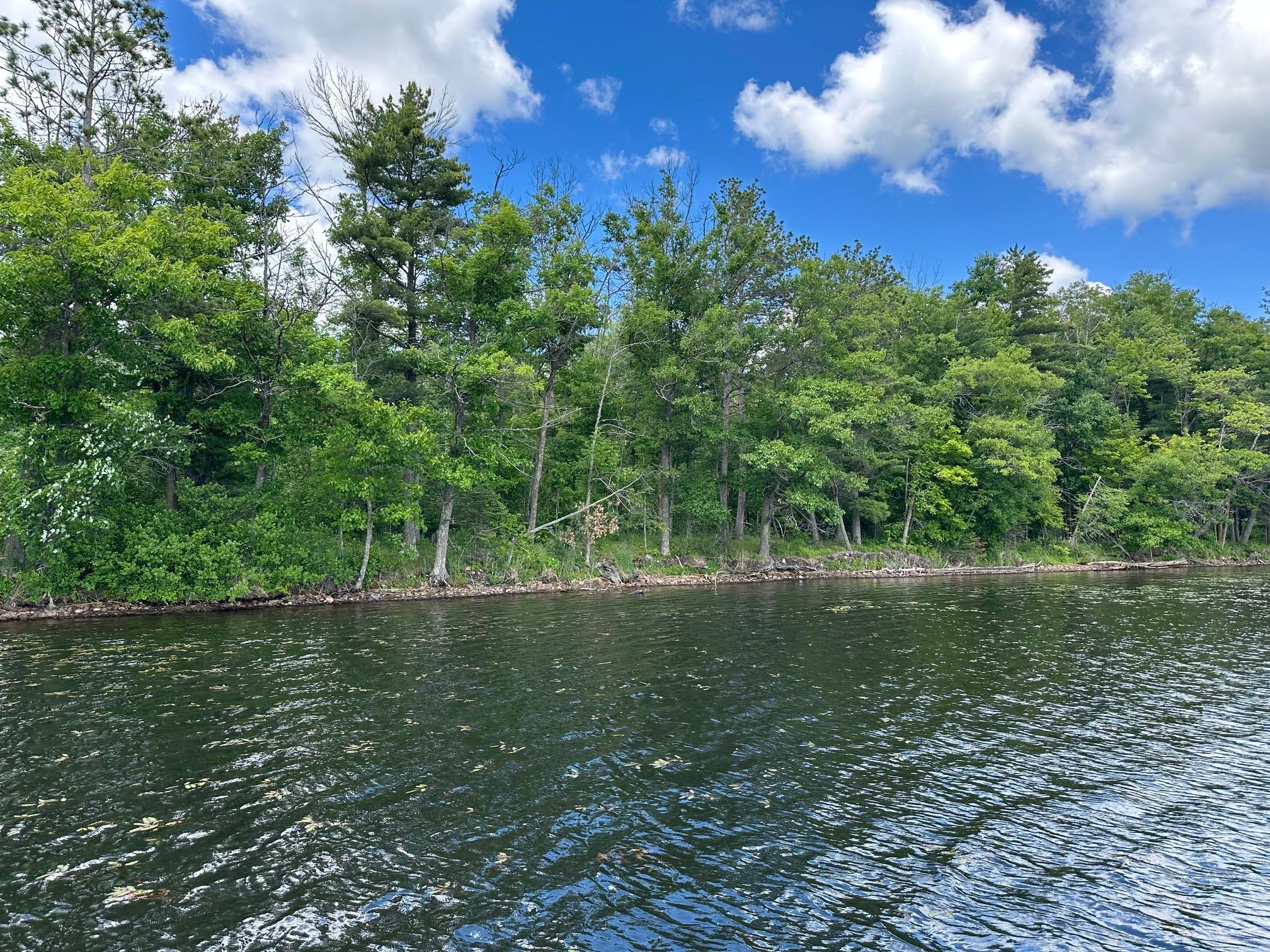 2015 land for sale at 36599 Dove Street in Aitkin, MN (photo 5 of 16)