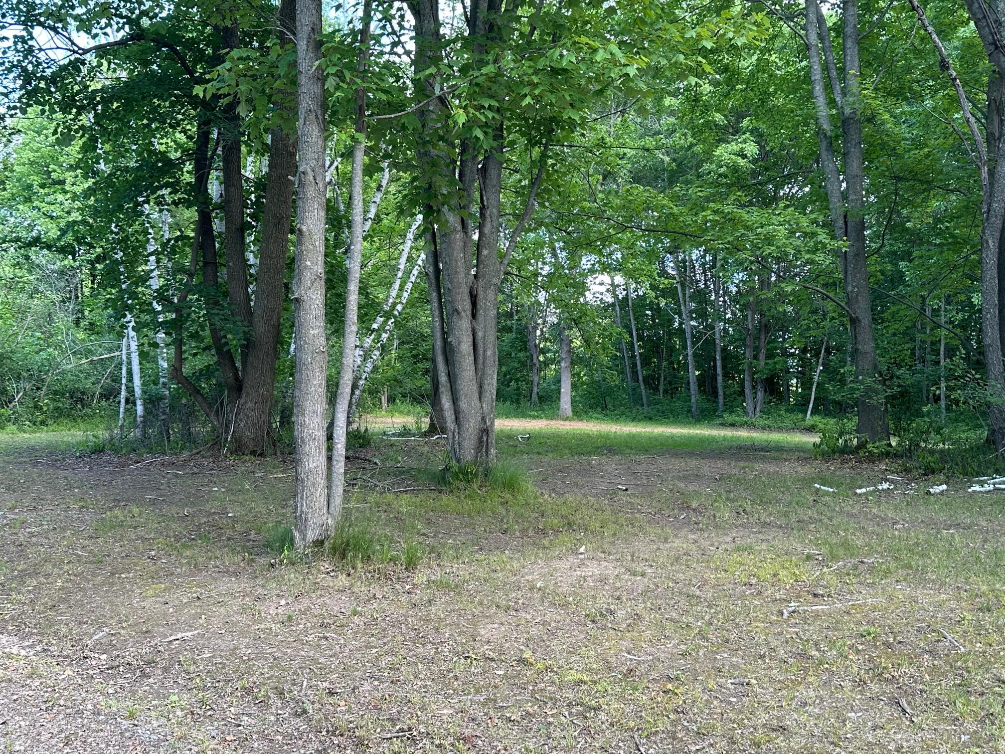 2015 land for sale at 36599 Dove Street in Aitkin, MN (photo 7 of 16)