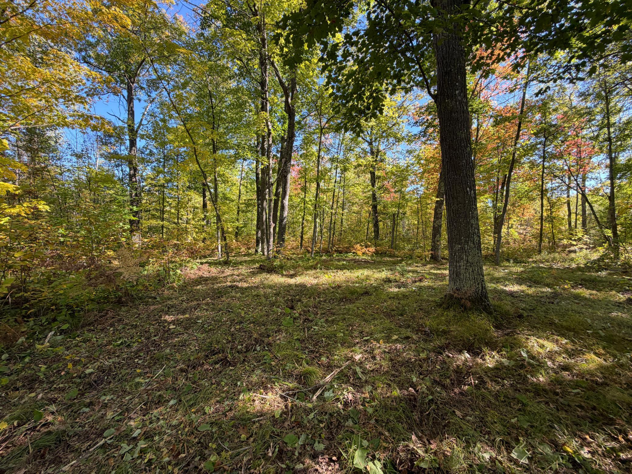land for sale at tbd 110th in Sturgeon Lake, MN
