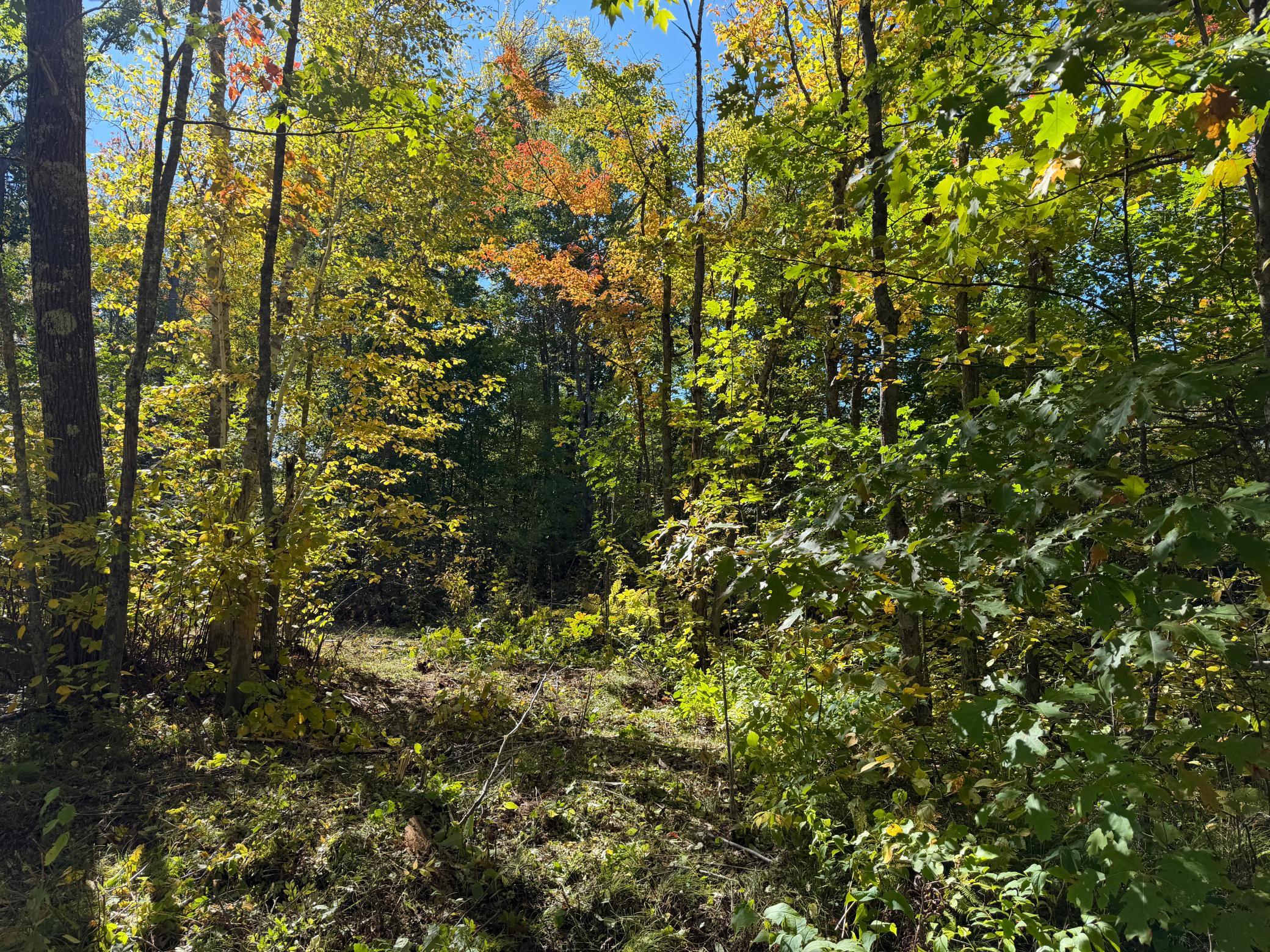land for sale at tbd 110th in Sturgeon Lake, MN (photo 2 of 15)