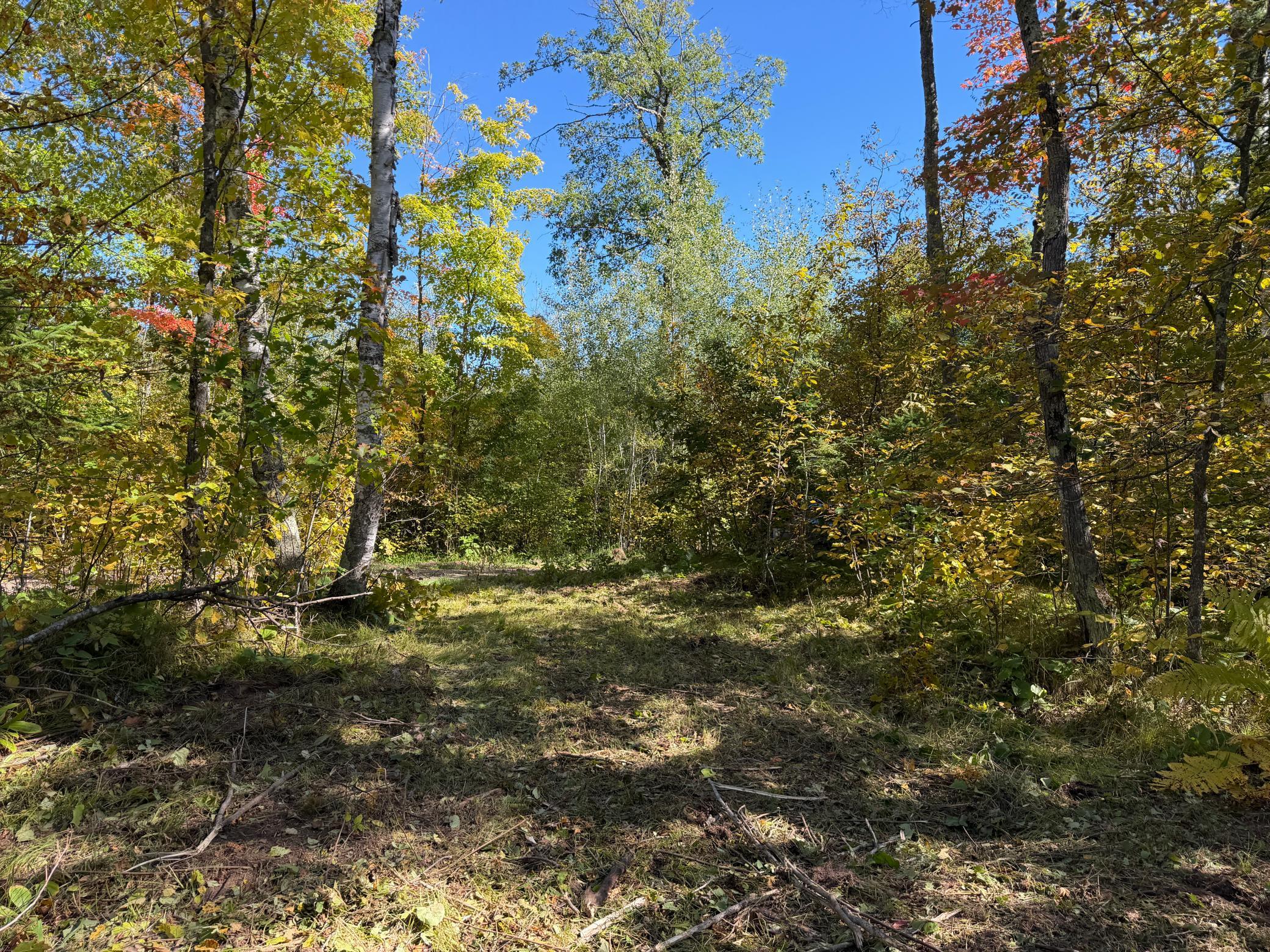 land for sale at tbd 110th in Sturgeon Lake, MN (photo 11 of 15)