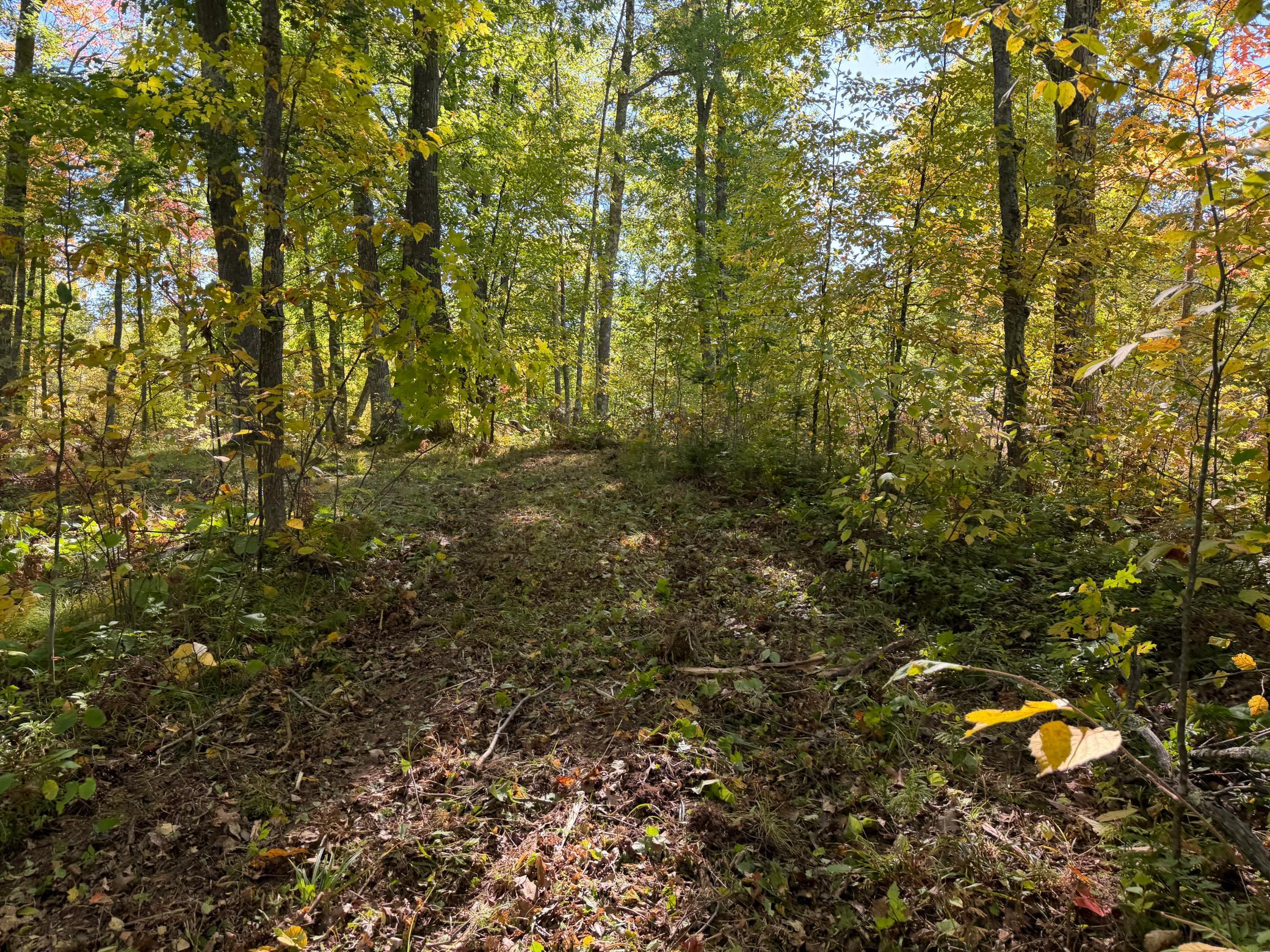 land for sale at tbd 110th in Sturgeon Lake, MN (photo 12 of 15)