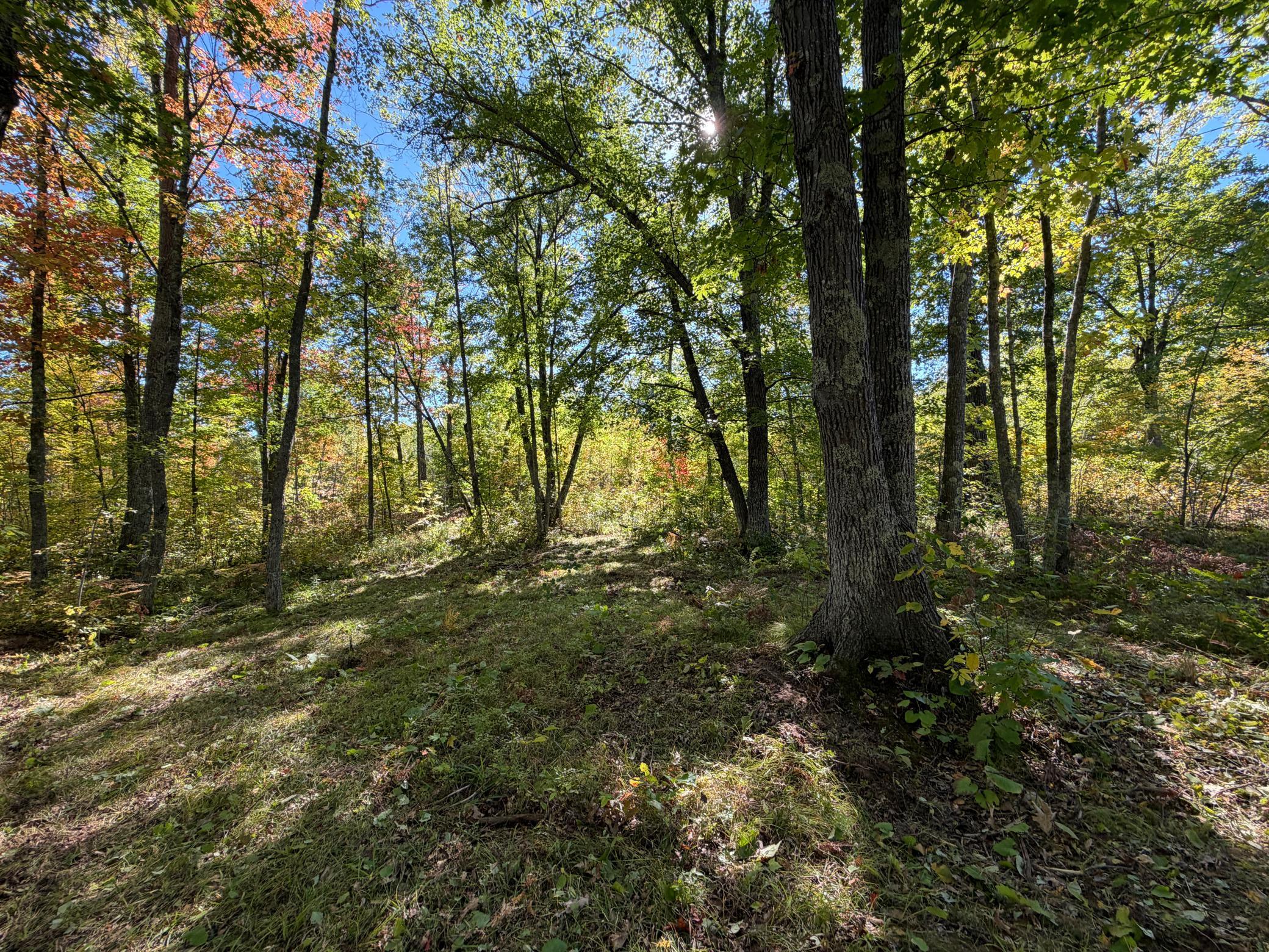 land for sale at tbd 110th in Sturgeon Lake, MN (photo 13 of 15)