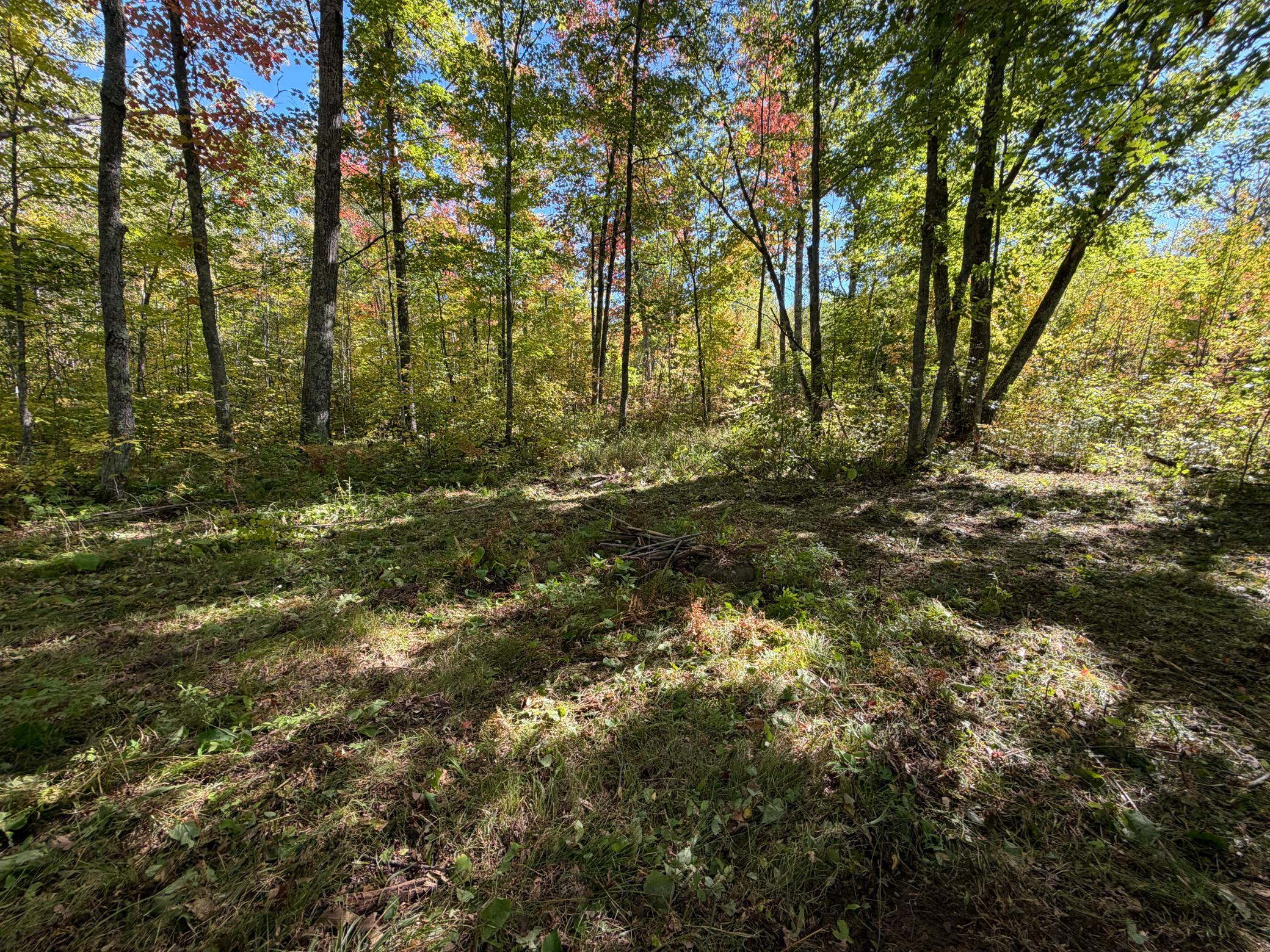 land for sale at tbd 110th in Sturgeon Lake, MN (photo 14 of 15)