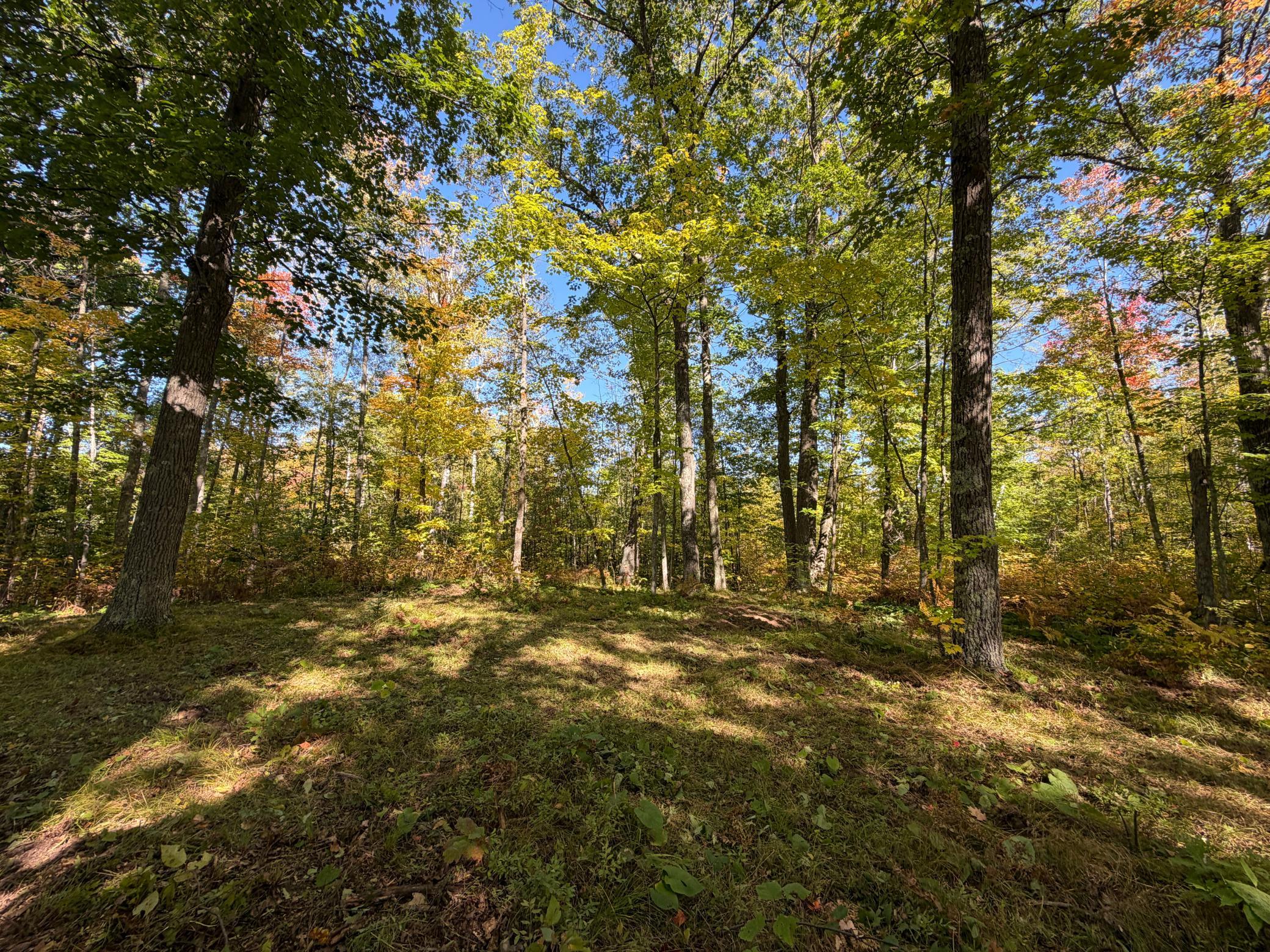 land for sale at tbd 110th in Sturgeon Lake, MN (photo 15 of 15)