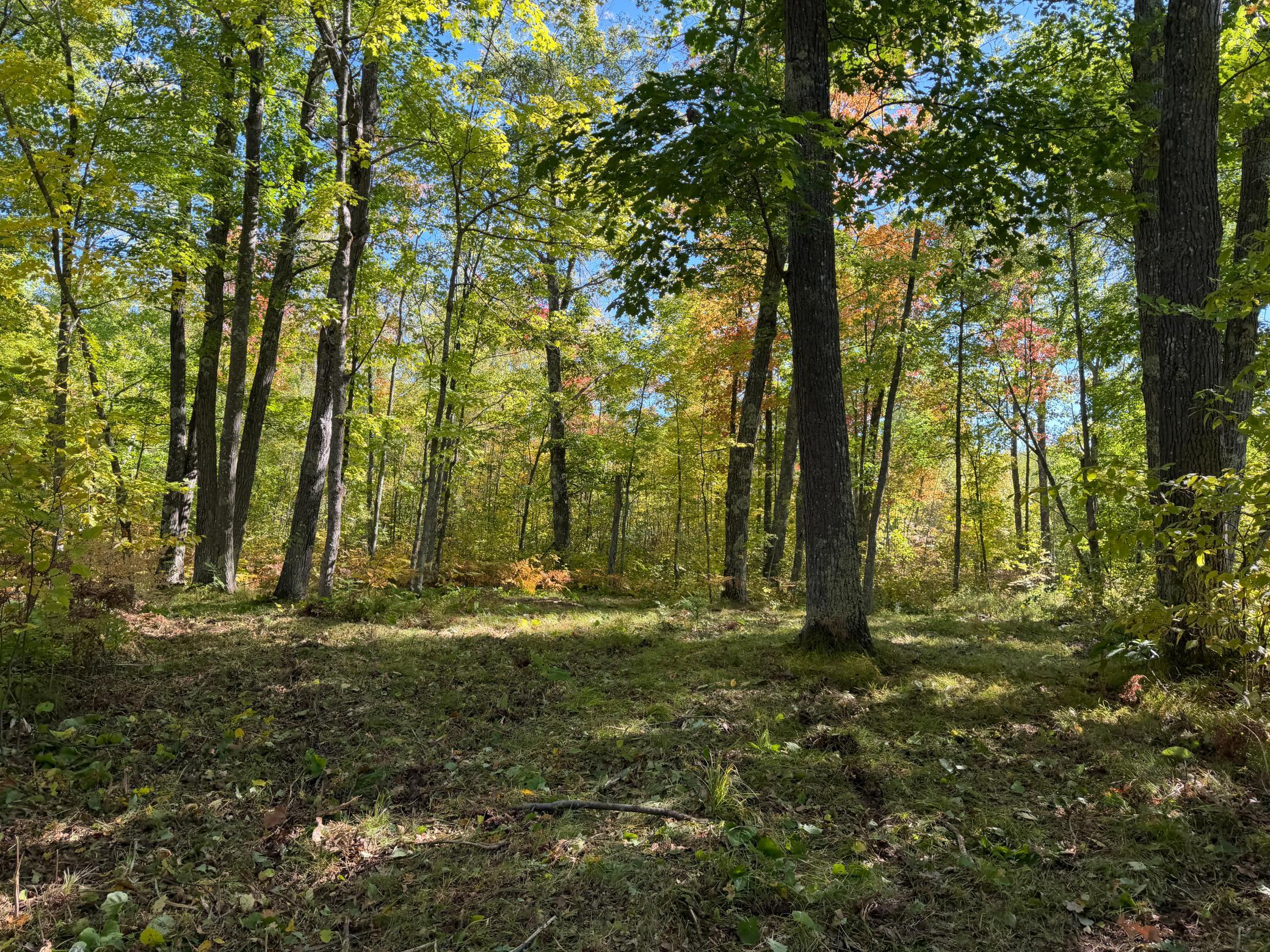 land for sale at tbd 110th in Sturgeon Lake, MN (photo 3 of 15)