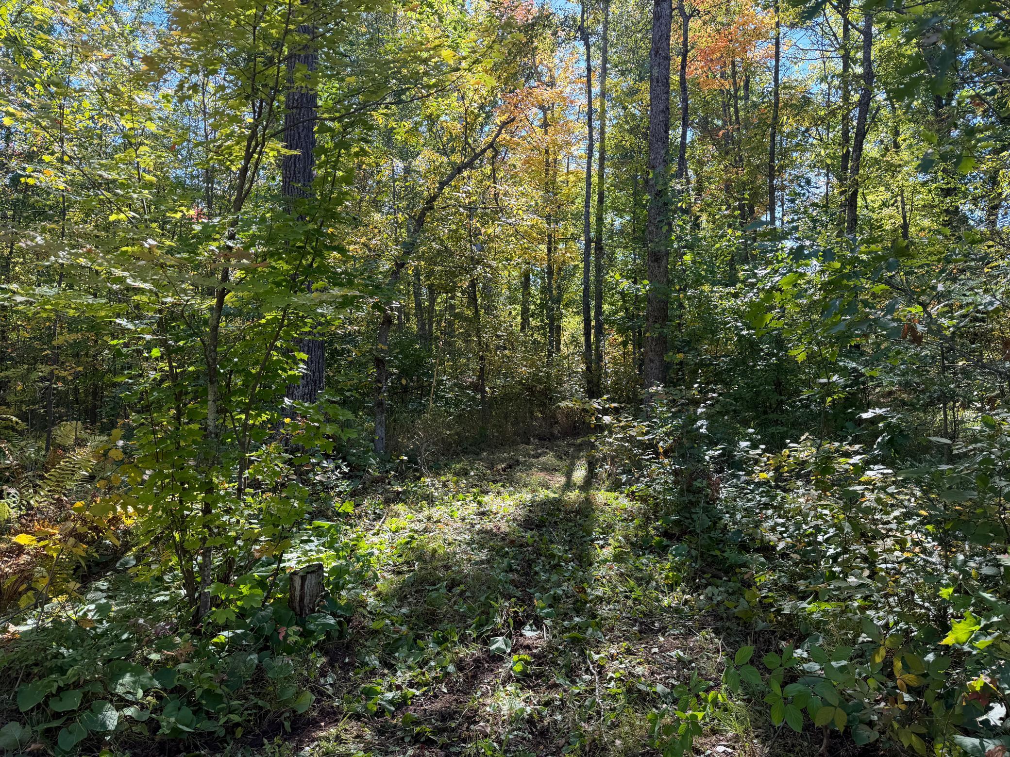 land for sale at tbd 110th in Sturgeon Lake, MN (photo 5 of 15)